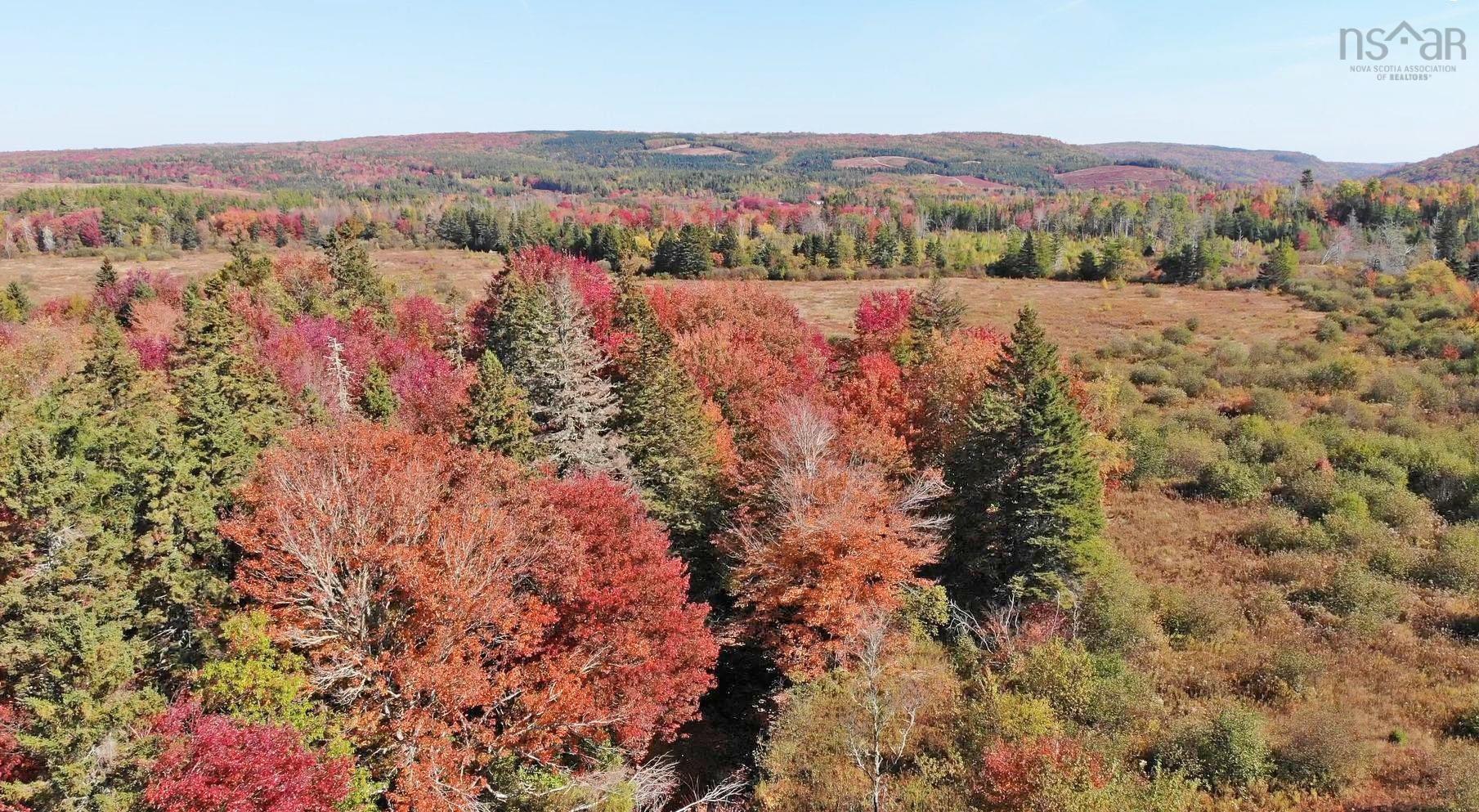 $185,000.00: 62 Acres West Side Road, West Side Country Harbour