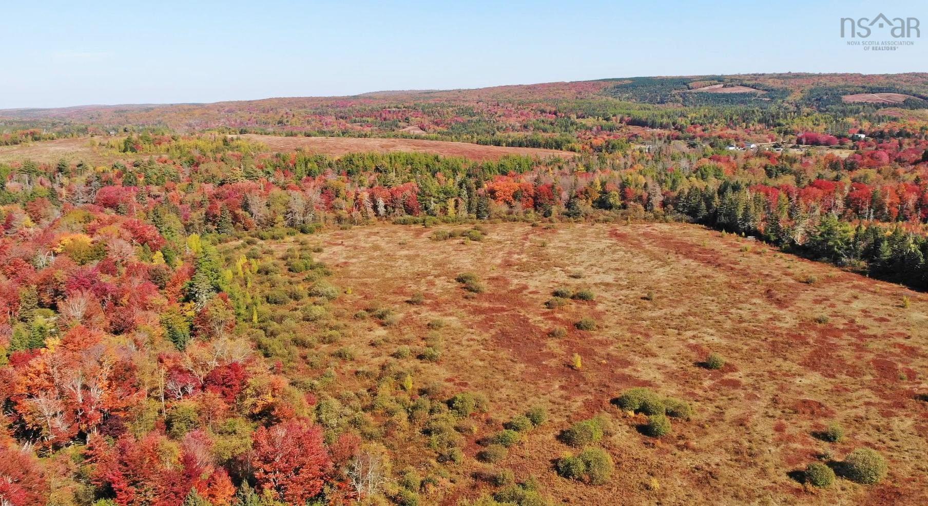 $185,000.00: 62 Acres West Side Road, West Side Country Harbour