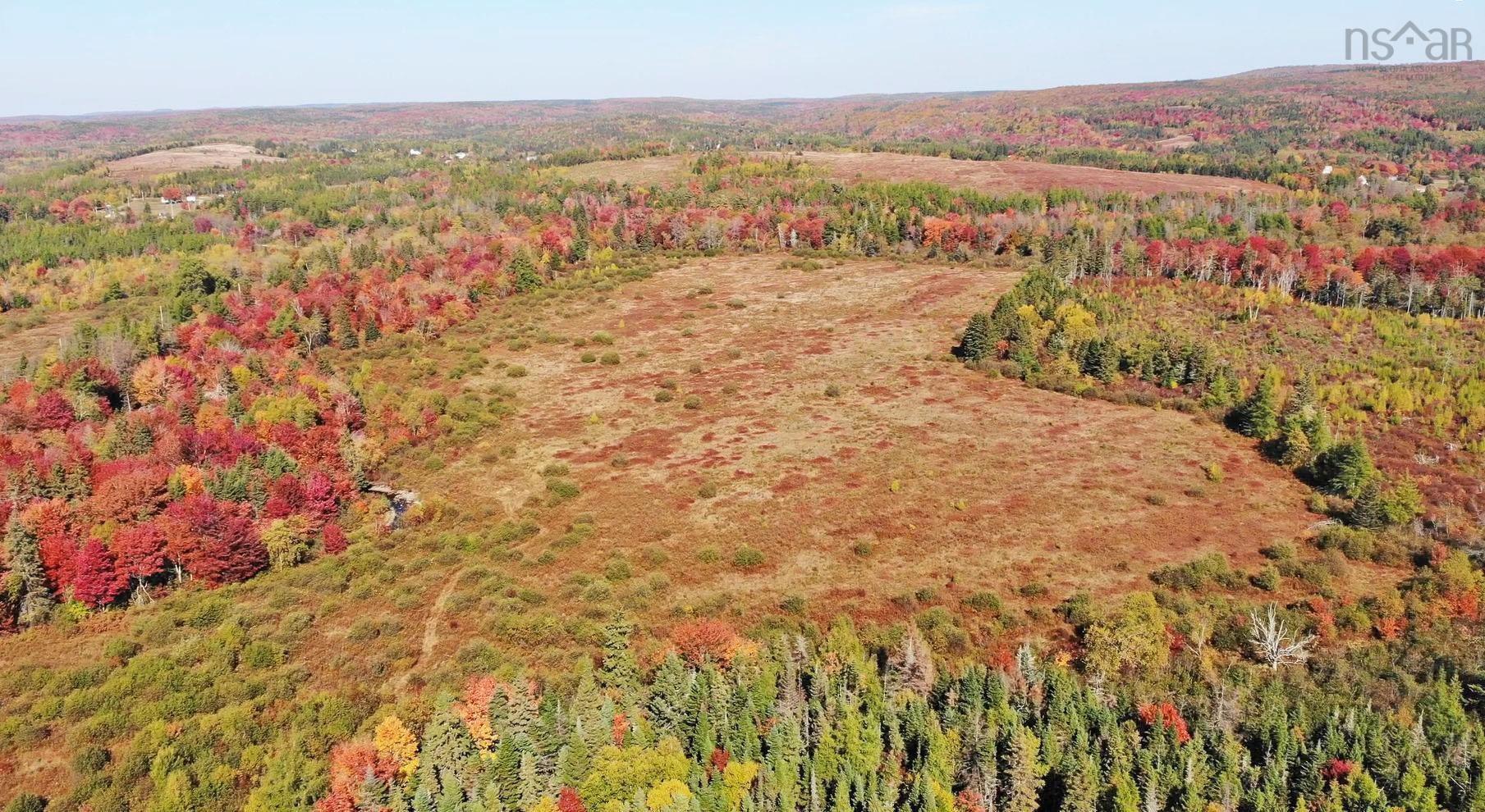 $185,000.00: 62 Acres West Side Road, West Side Country Harbour