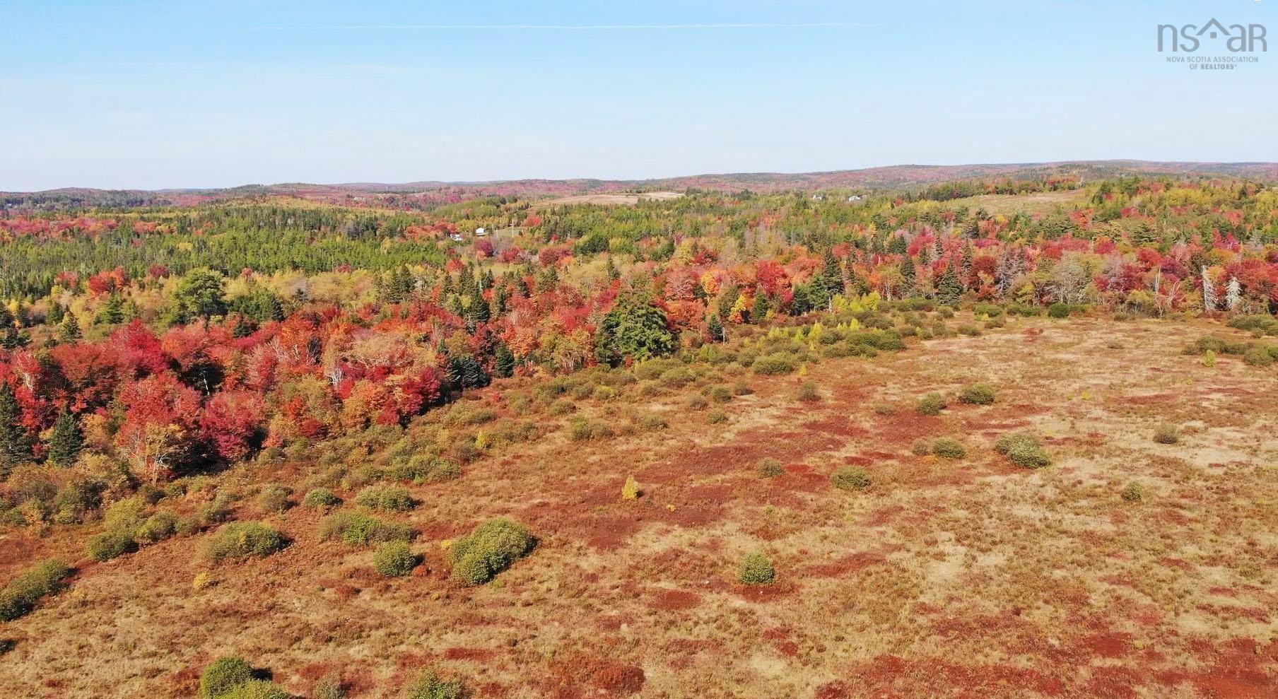 $185,000.00: 62 Acres West Side Road, West Side Country Harbour