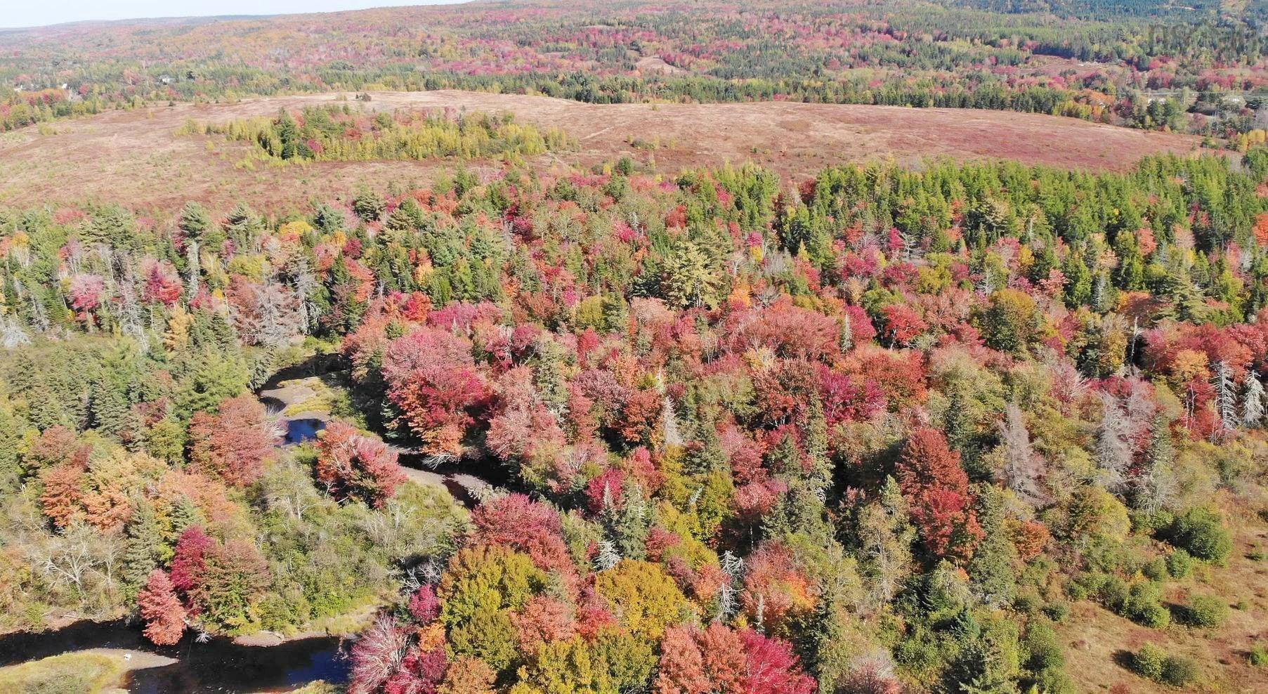 $185,000.00: 62 Acres West Side Road, West Side Country Harbour