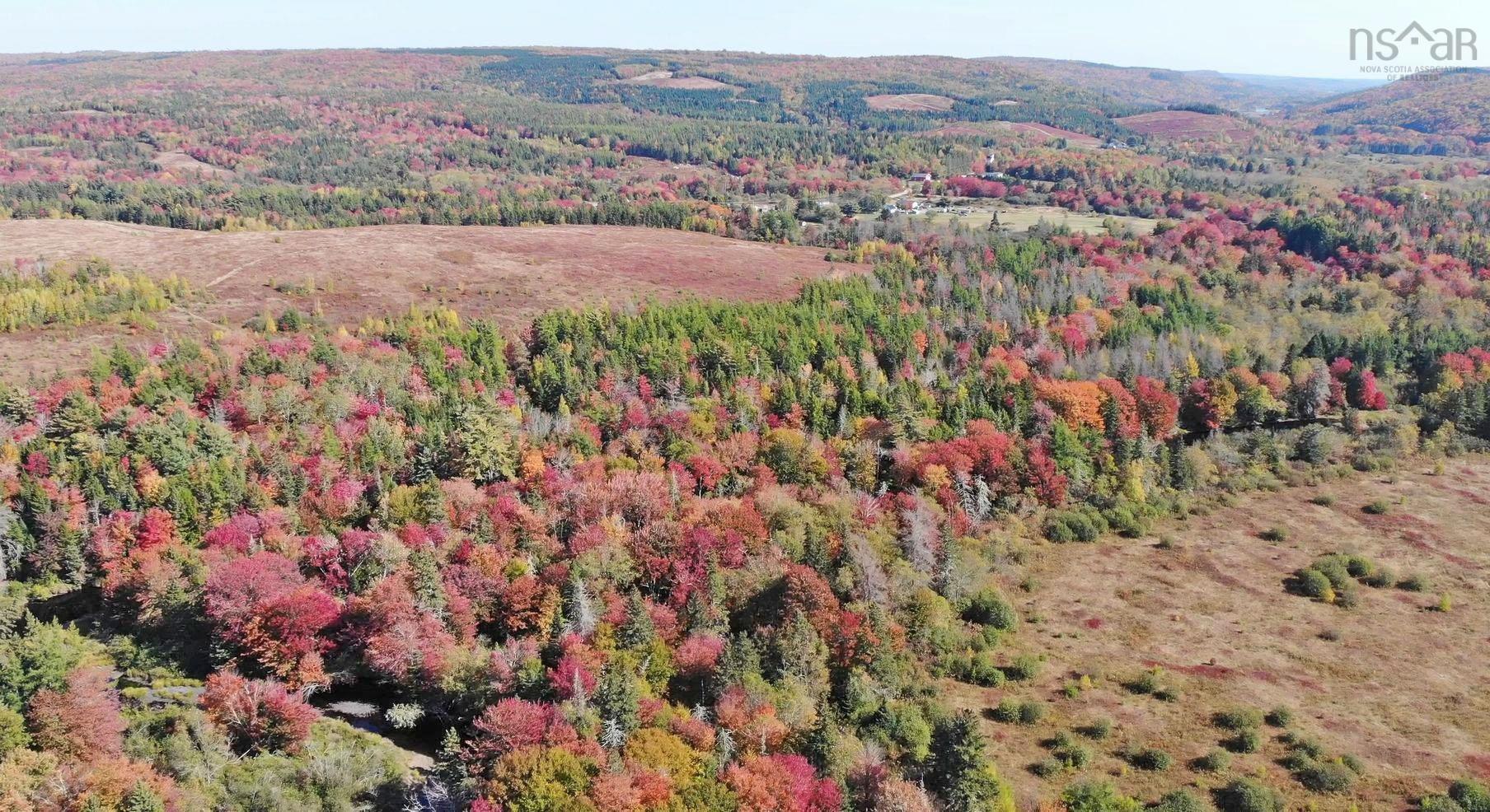 $185,000.00: 62 Acres West Side Road, West Side Country Harbour