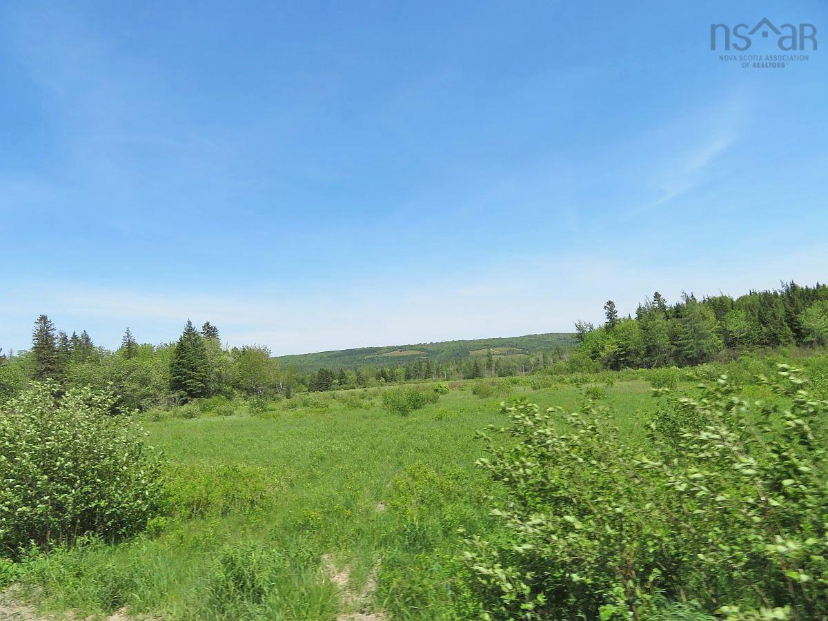 $185,000.00: 62 Acres West Side Road, West Side Country Harbour