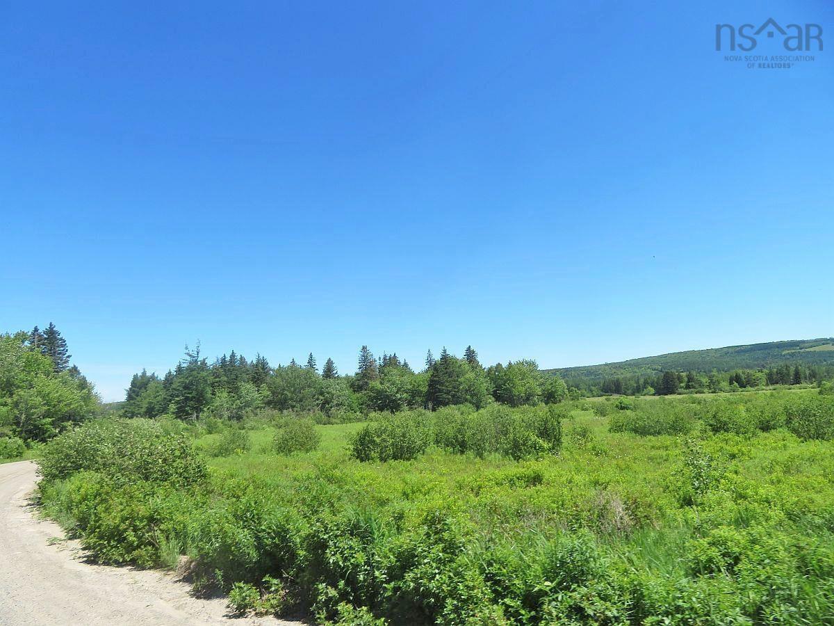 $185,000.00: 62 Acres West Side Road, West Side Country Harbour