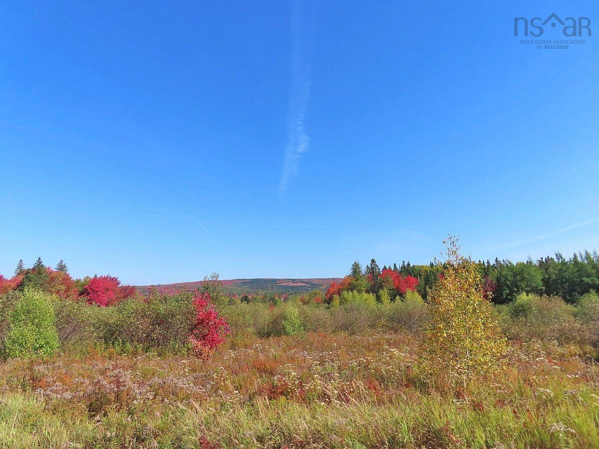 $185,000.00: 62 Acres West Side Road, West Side Country Harbour