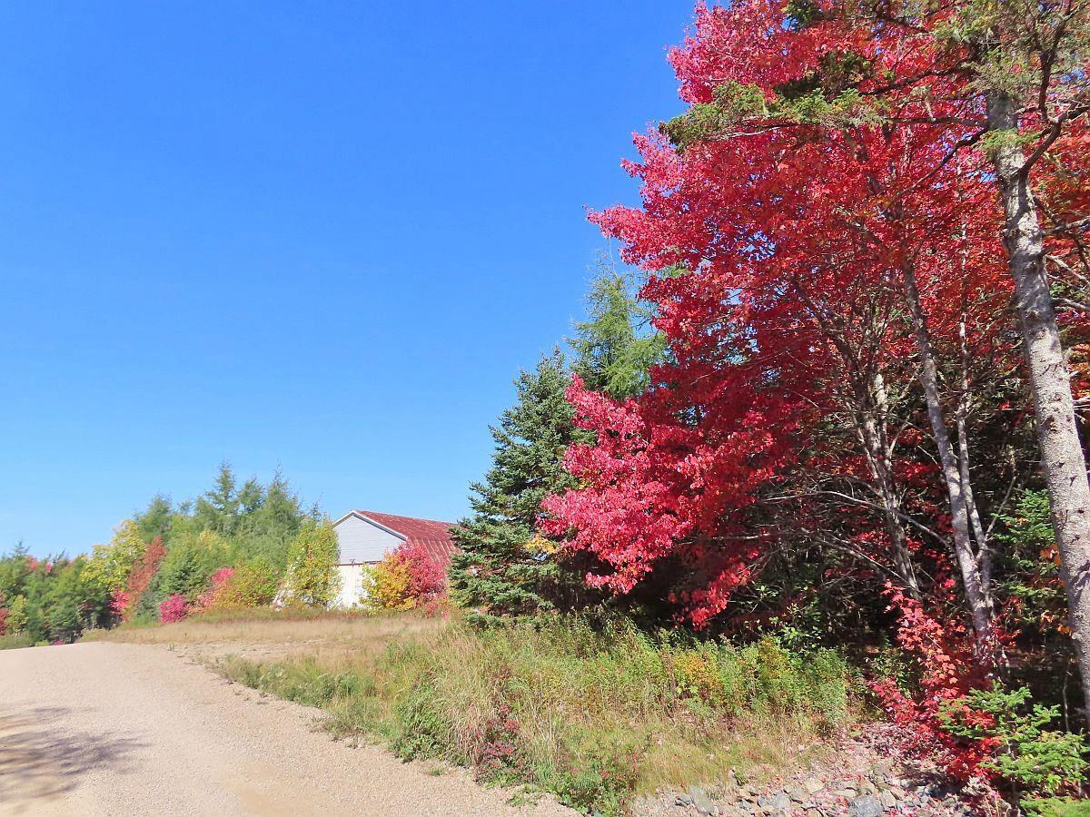 $185,000.00: 62 Acres West Side Road, West Side Country Harbour