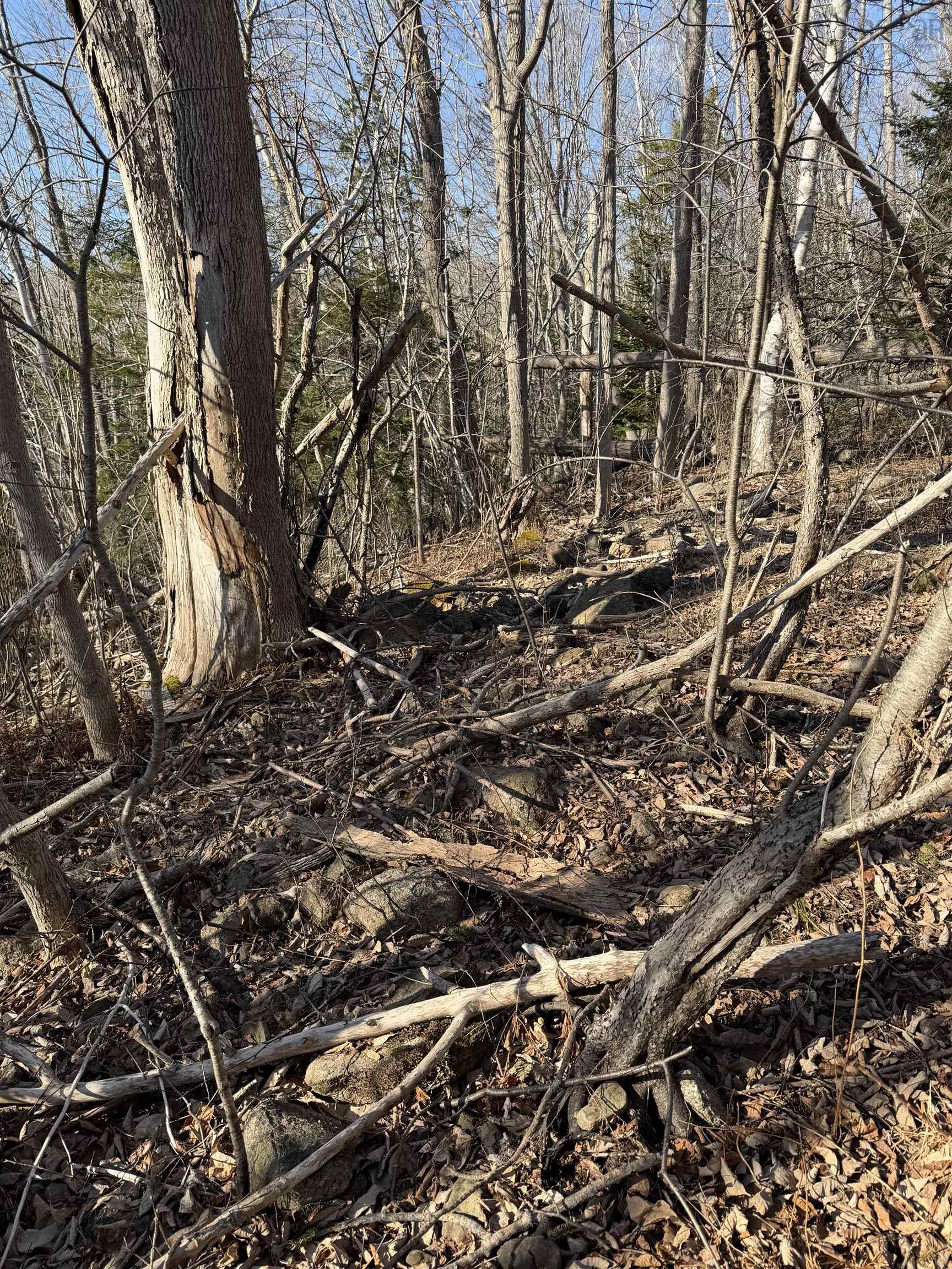 $24,990.00: Lot Beeches Road, Bay View