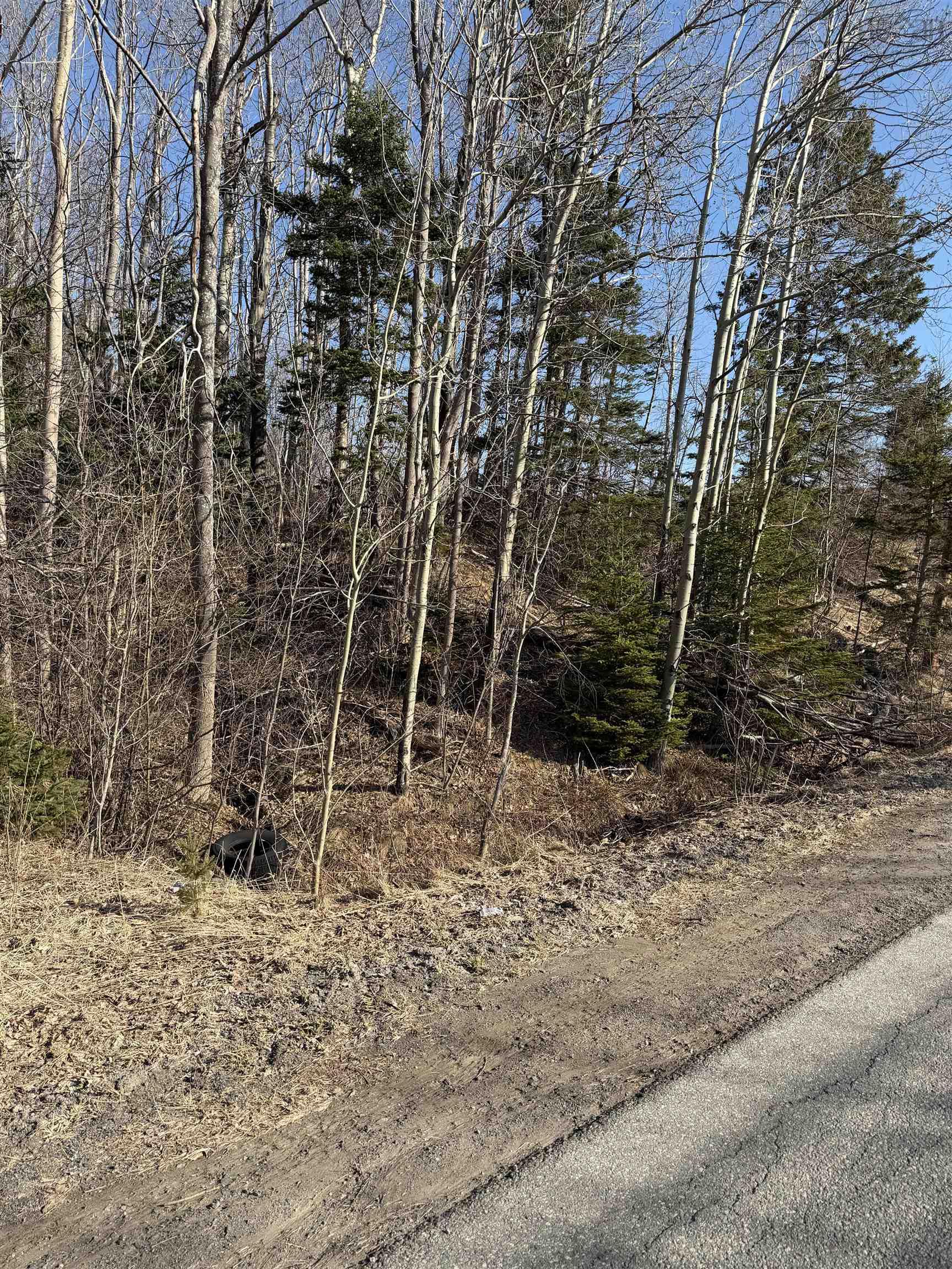 $24,990.00: Lot Beeches Road, Bay View