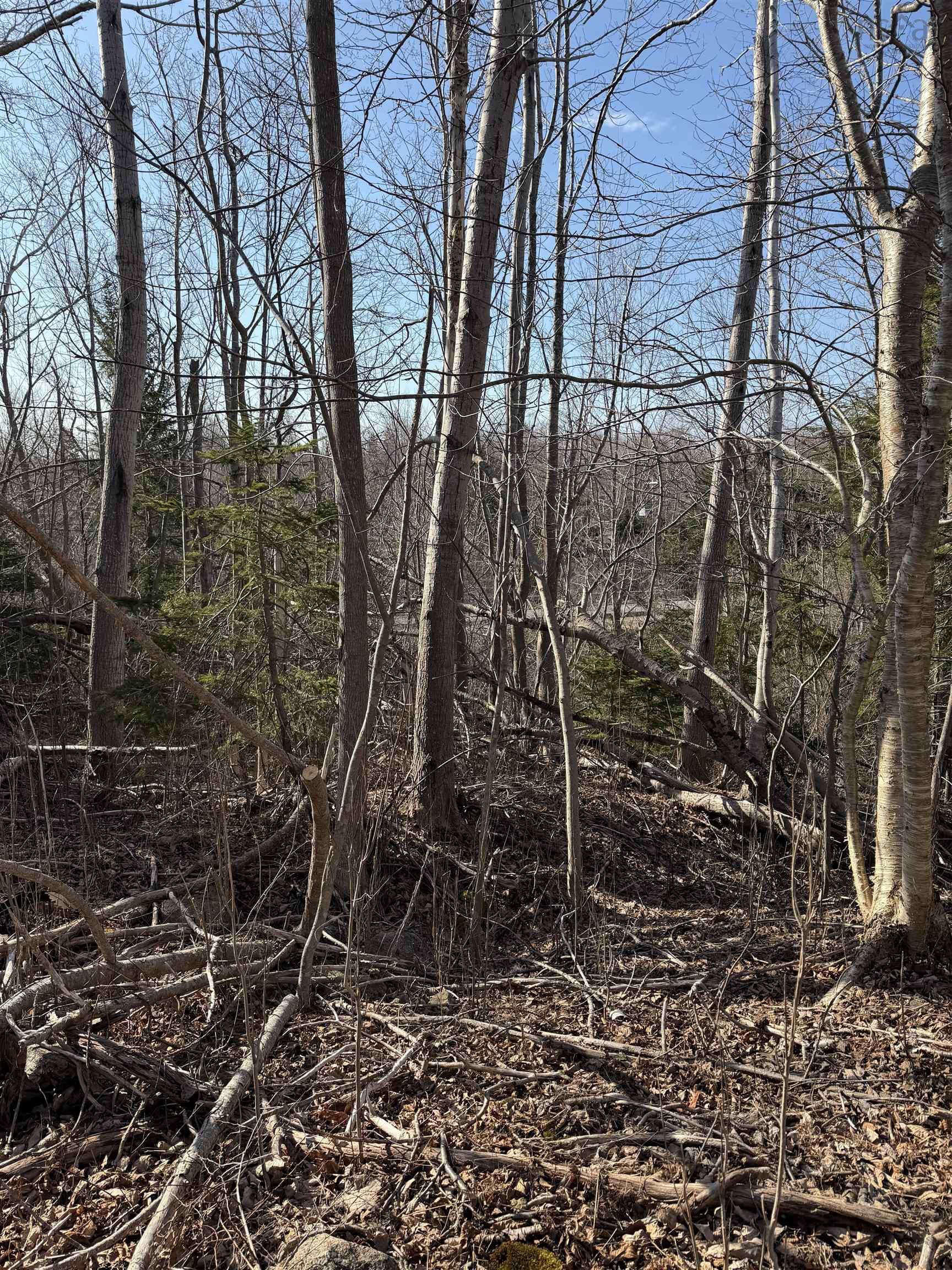 $24,990.00: Lot Beeches Road, Bay View