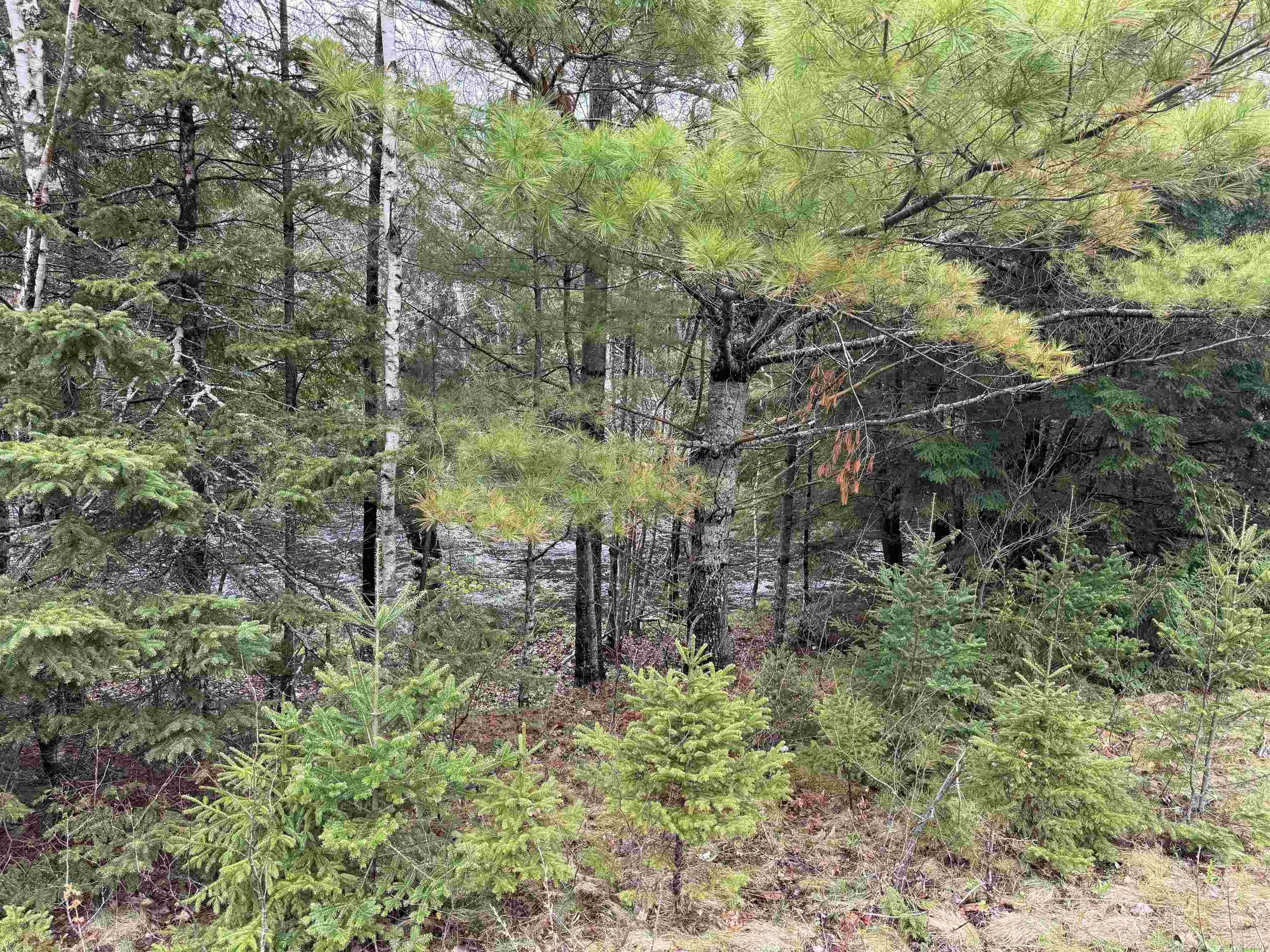 $24,900.00: Lot 5 Highway 10, New Germany