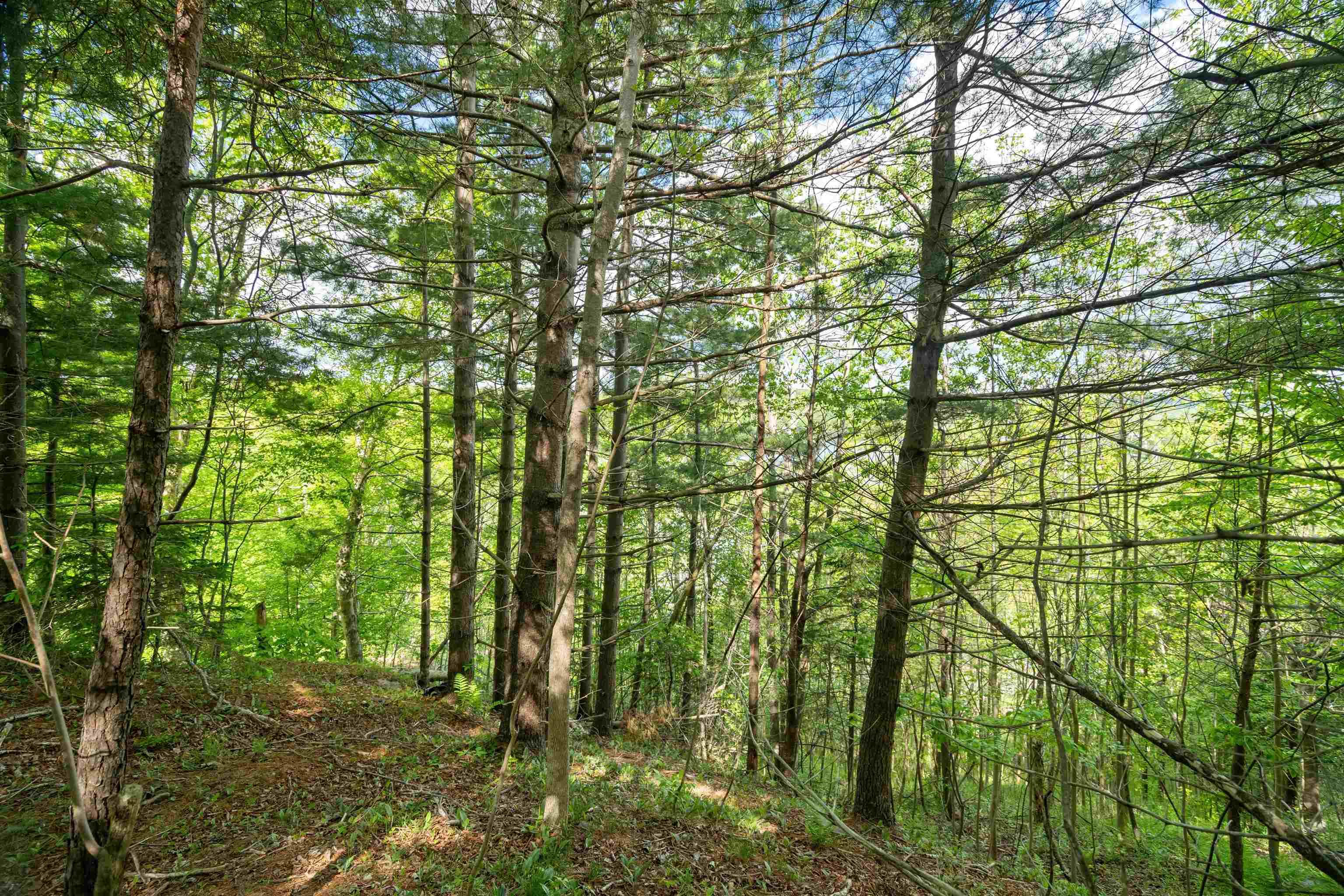 27 Copperhead Road, Fall River, NS (MLS® 202412607)
