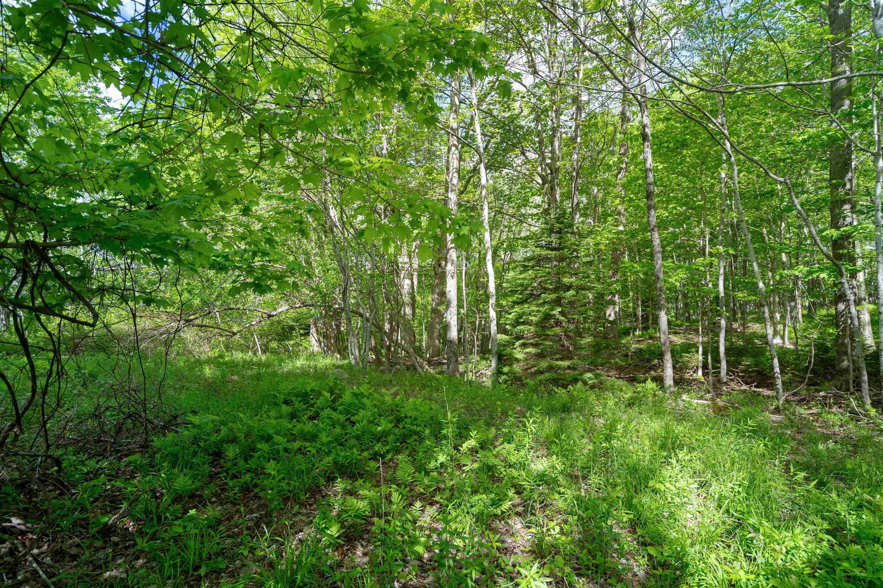 27 Copperhead Road, Fall River, NS (MLS 202412607)