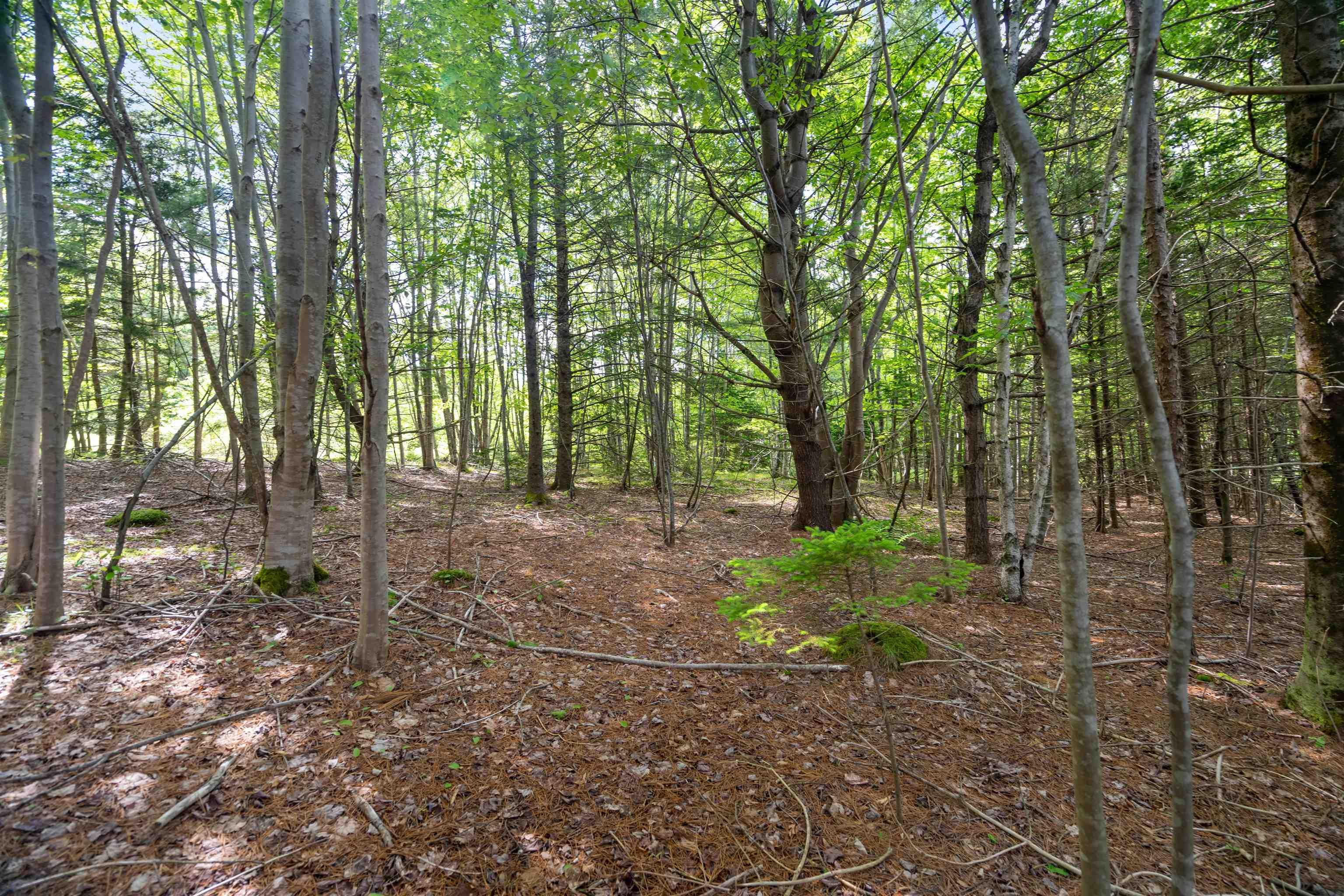 27 Copperhead Road, Fall River, NS (MLS 202412607)