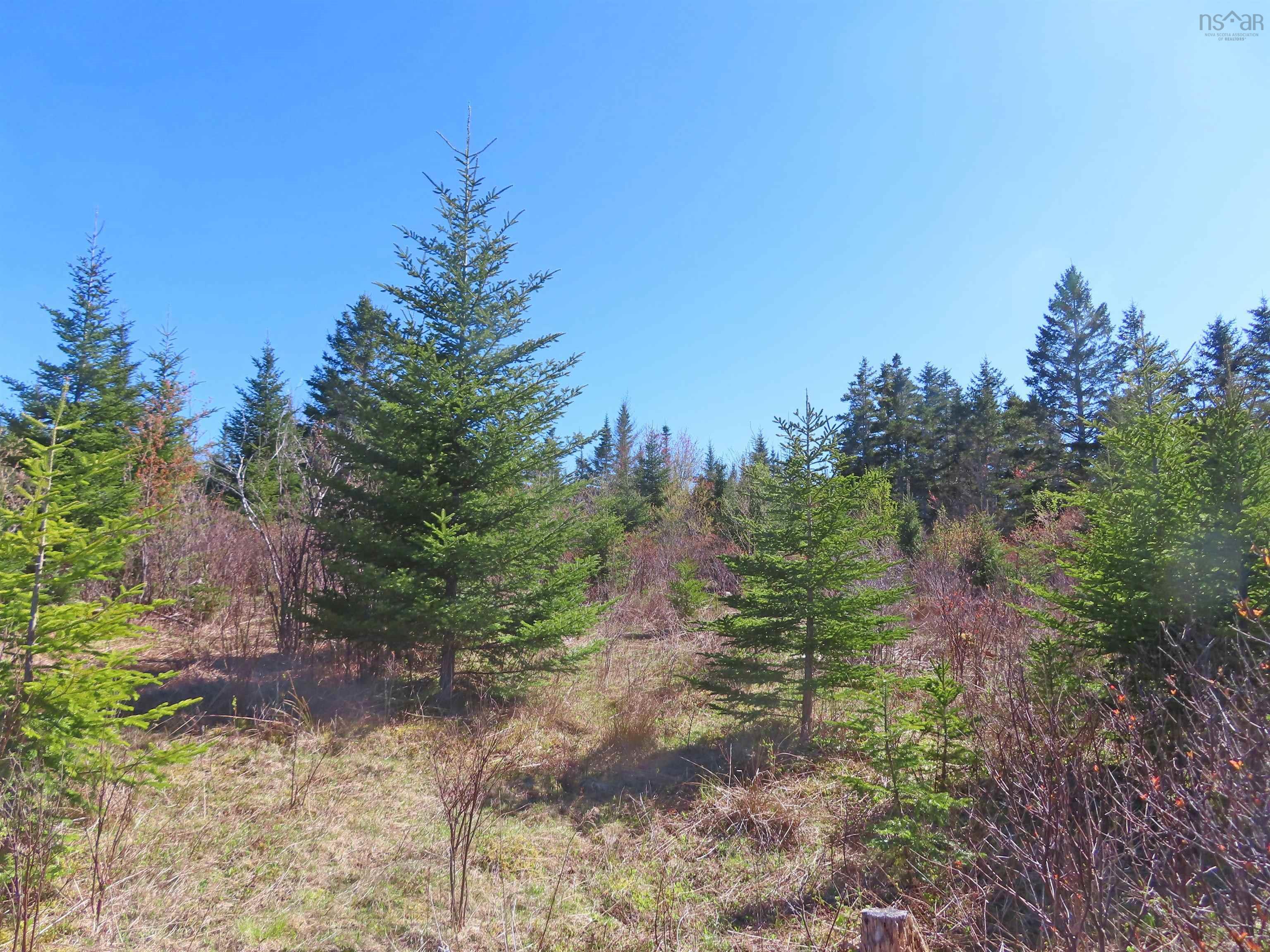$25,000.00: Lot 2 Old Trunk 4 Highway, Soldiers Cove