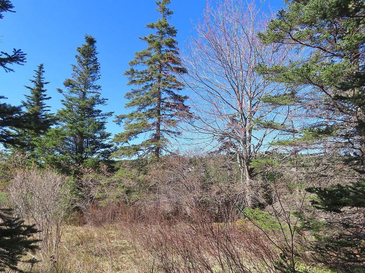 $25,000.00: Lot 2 Old Trunk 4 Highway, Soldiers Cove