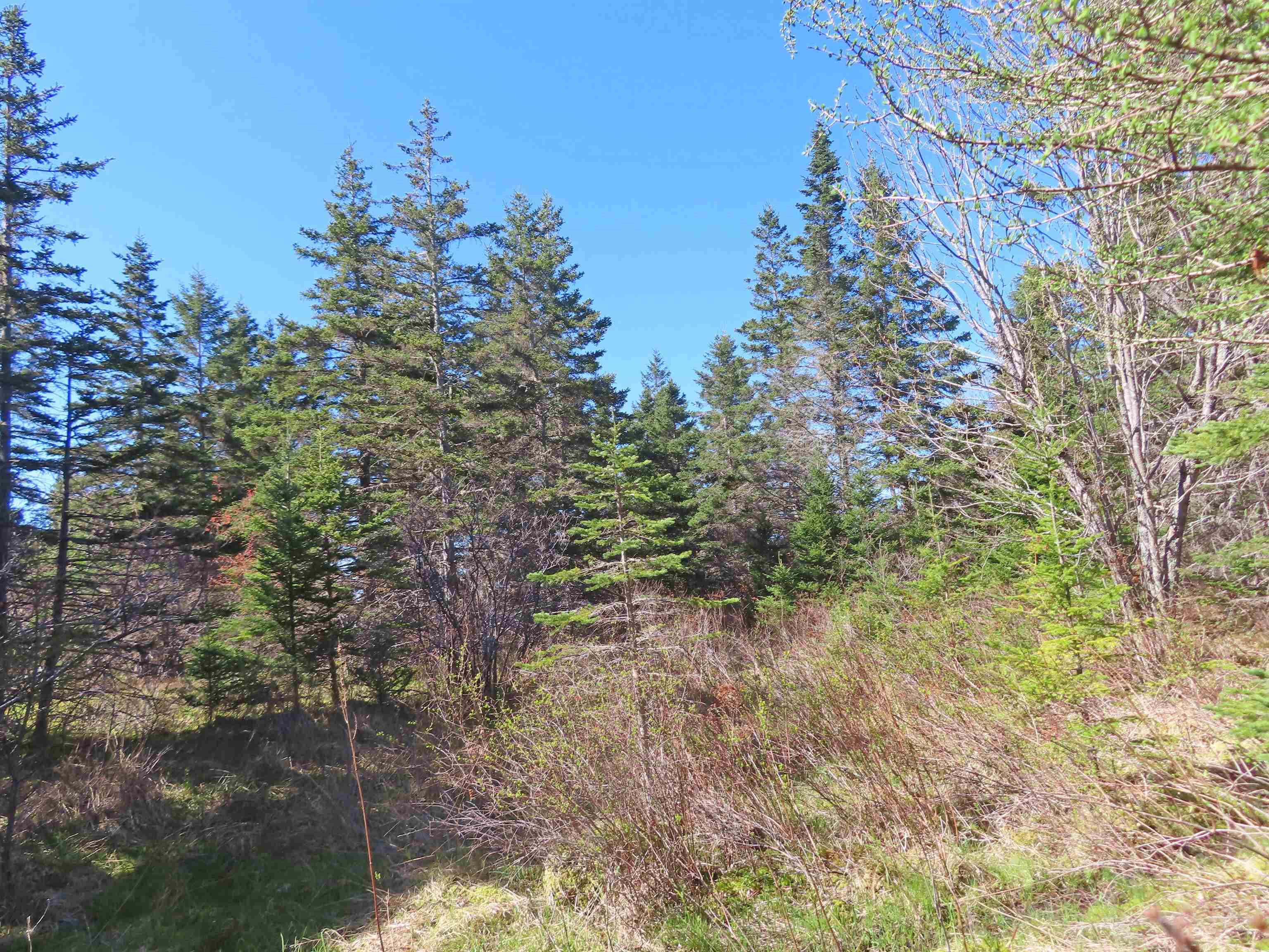 $25,000.00: Lot 2 Old Trunk 4 Highway, Soldiers Cove