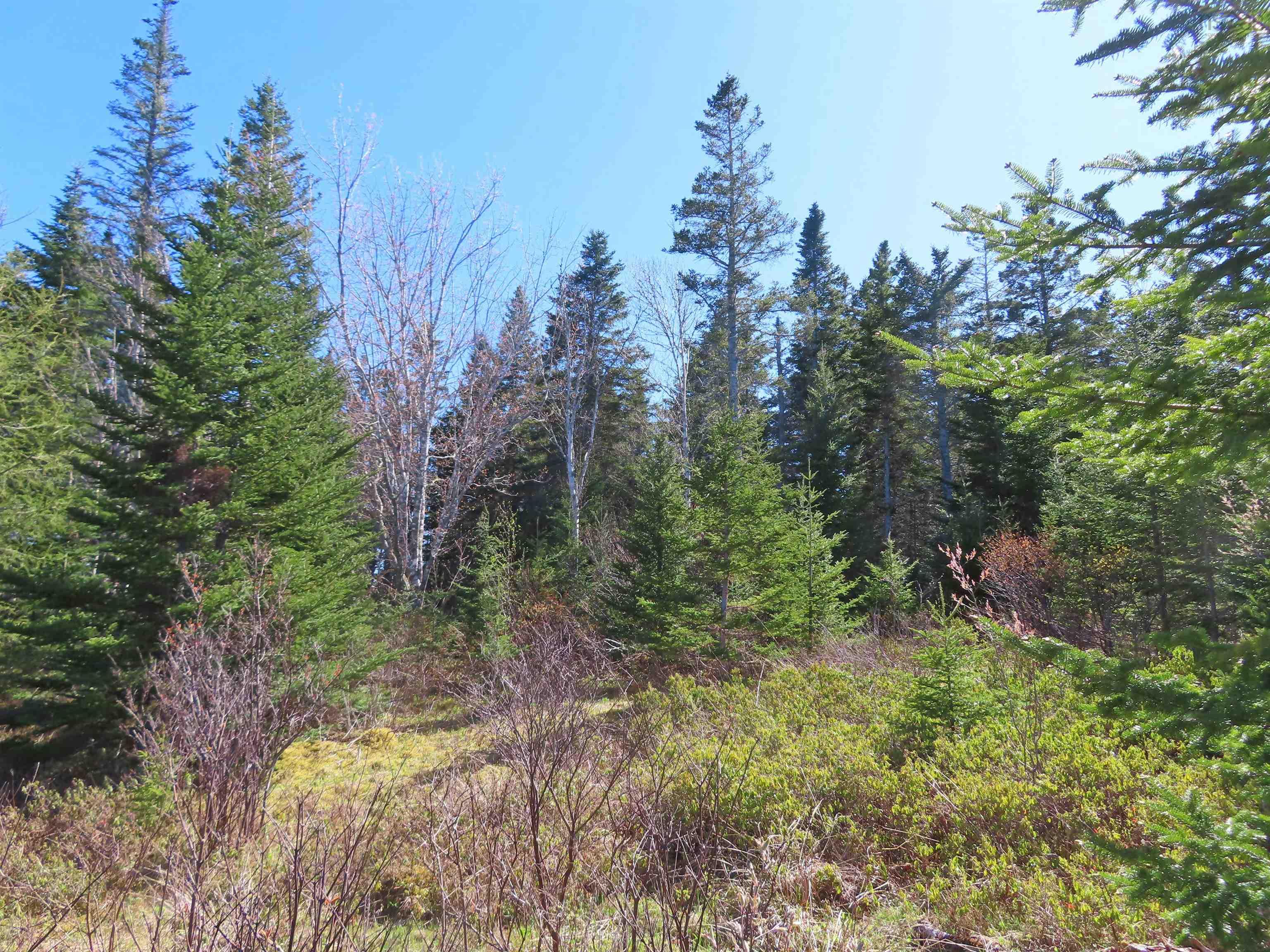 $25,000.00: Lot 2 Old Trunk 4 Highway, Soldiers Cove