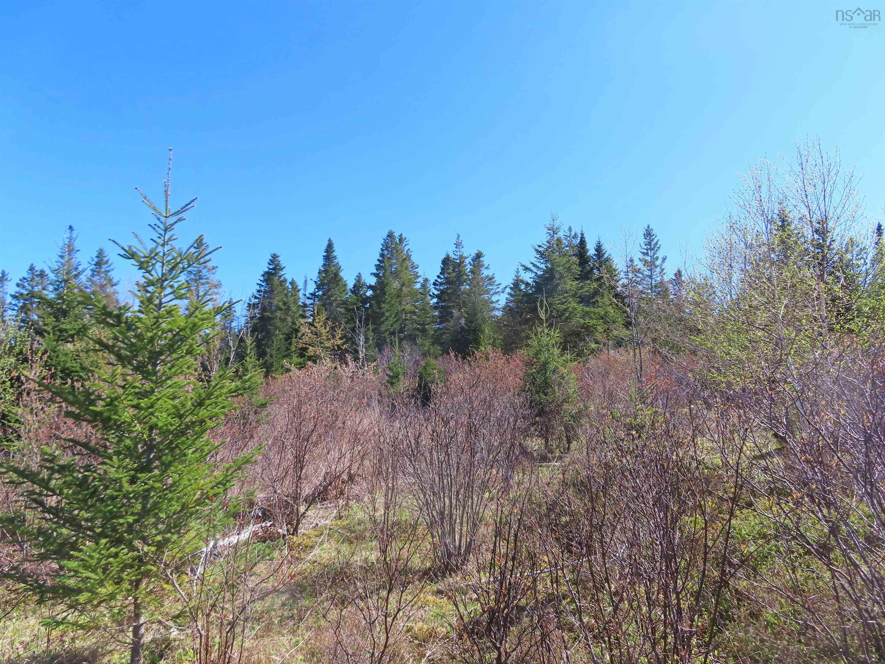 $25,000.00: Lot 2 Old Trunk 4 Highway, Soldiers Cove
