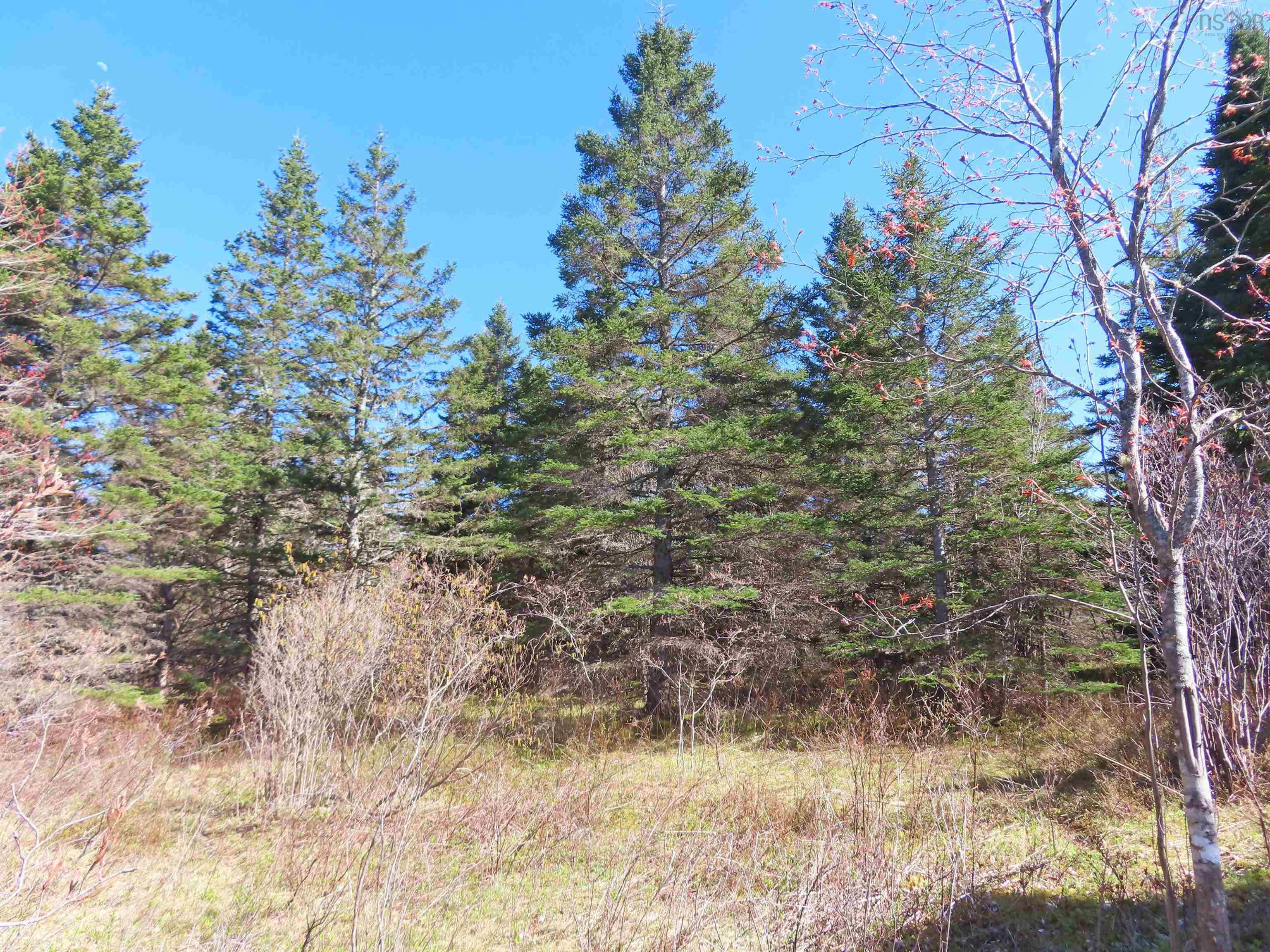 $25,000.00: Lot 2 Old Trunk 4 Highway, Soldiers Cove