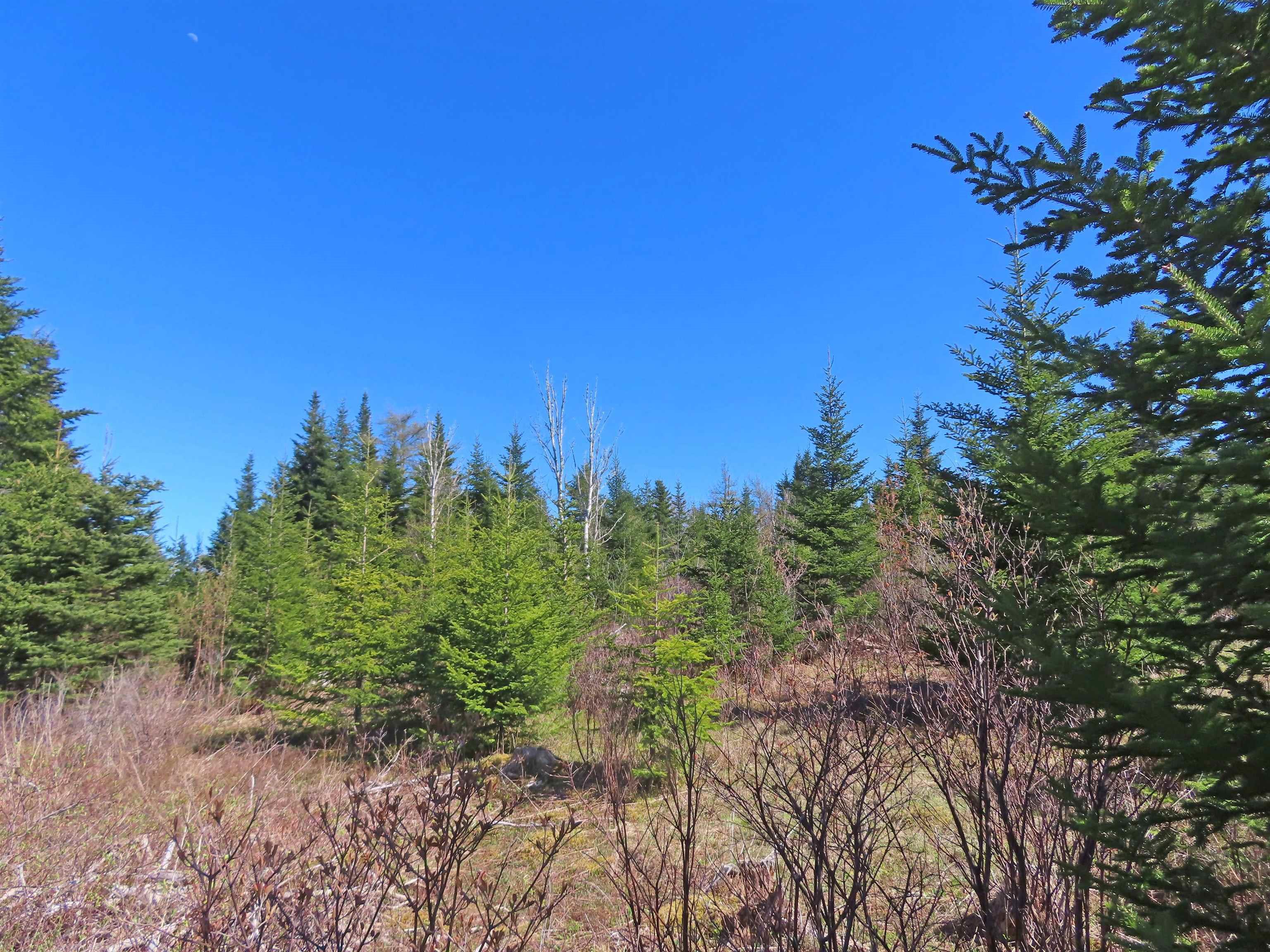 $25,000.00: Lot 2 Old Trunk 4 Highway, Soldiers Cove