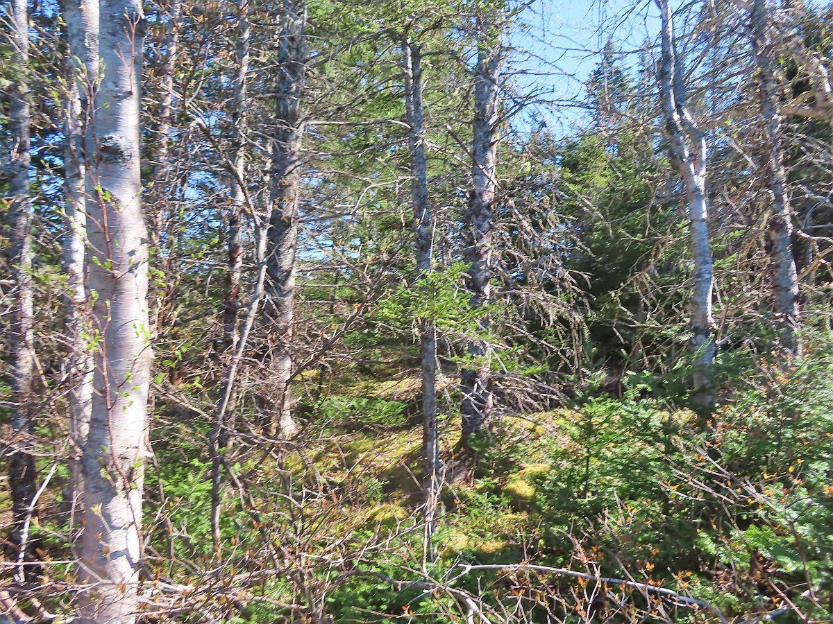 $25,000.00: Lot 2 Old Trunk 4 Highway, Soldiers Cove