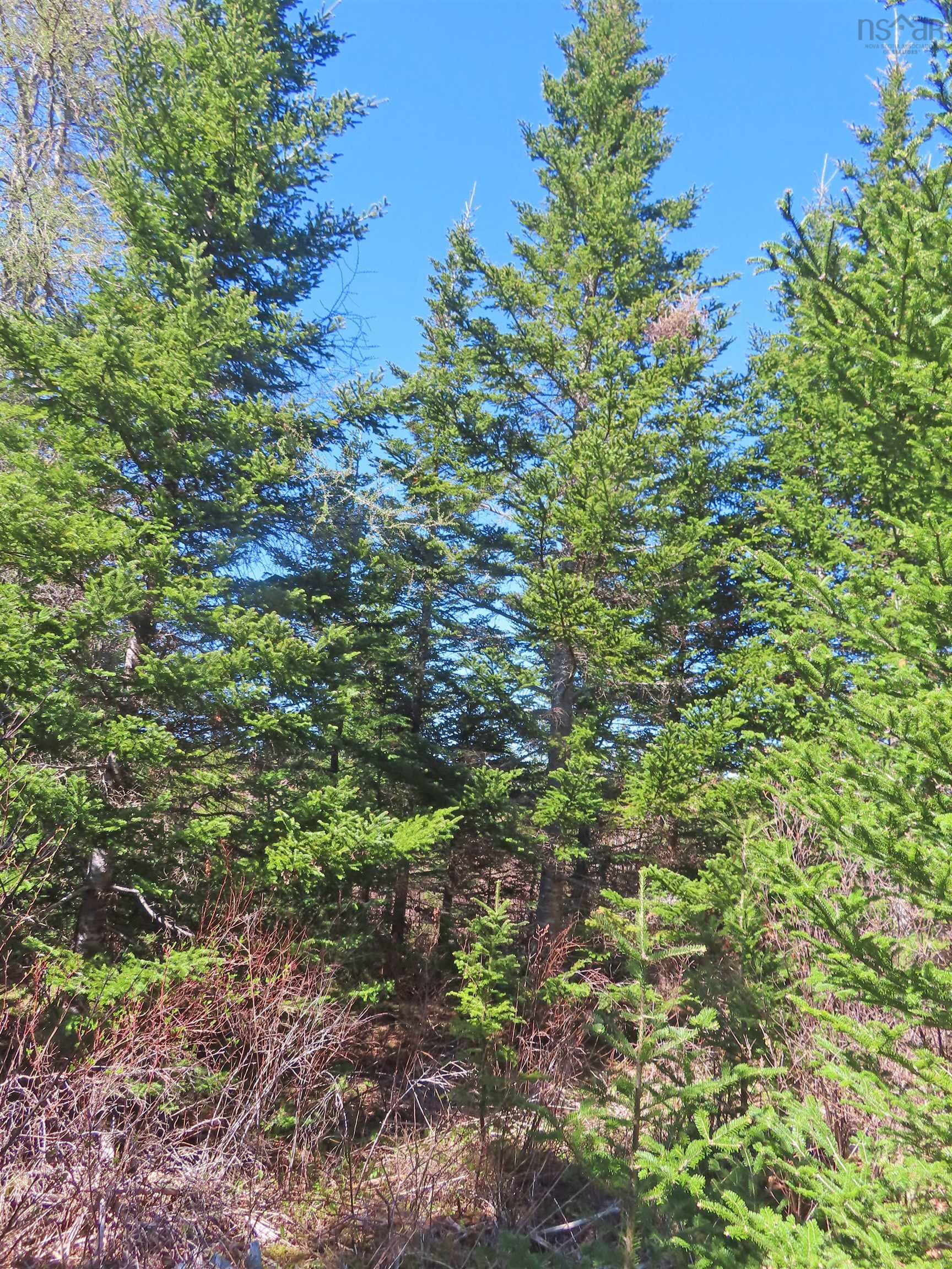 $25,000.00: Lot 2 Old Trunk 4 Highway, Soldiers Cove