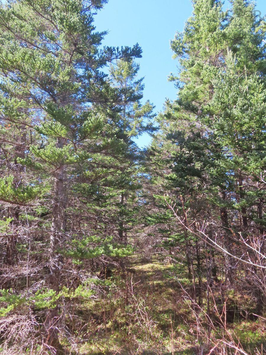 $25,000.00: Lot 2 Old Trunk 4 Highway, Soldiers Cove