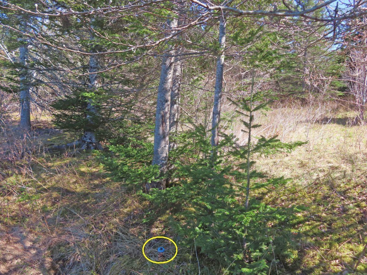 $25,000.00: Lot 2 Old Trunk 4 Highway, Soldiers Cove