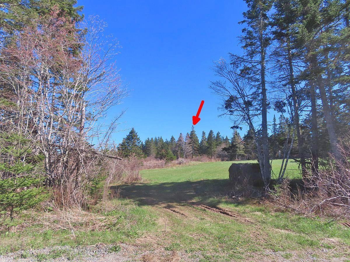 $25,000.00: Lot 2 Old Trunk 4 Highway, Soldiers Cove