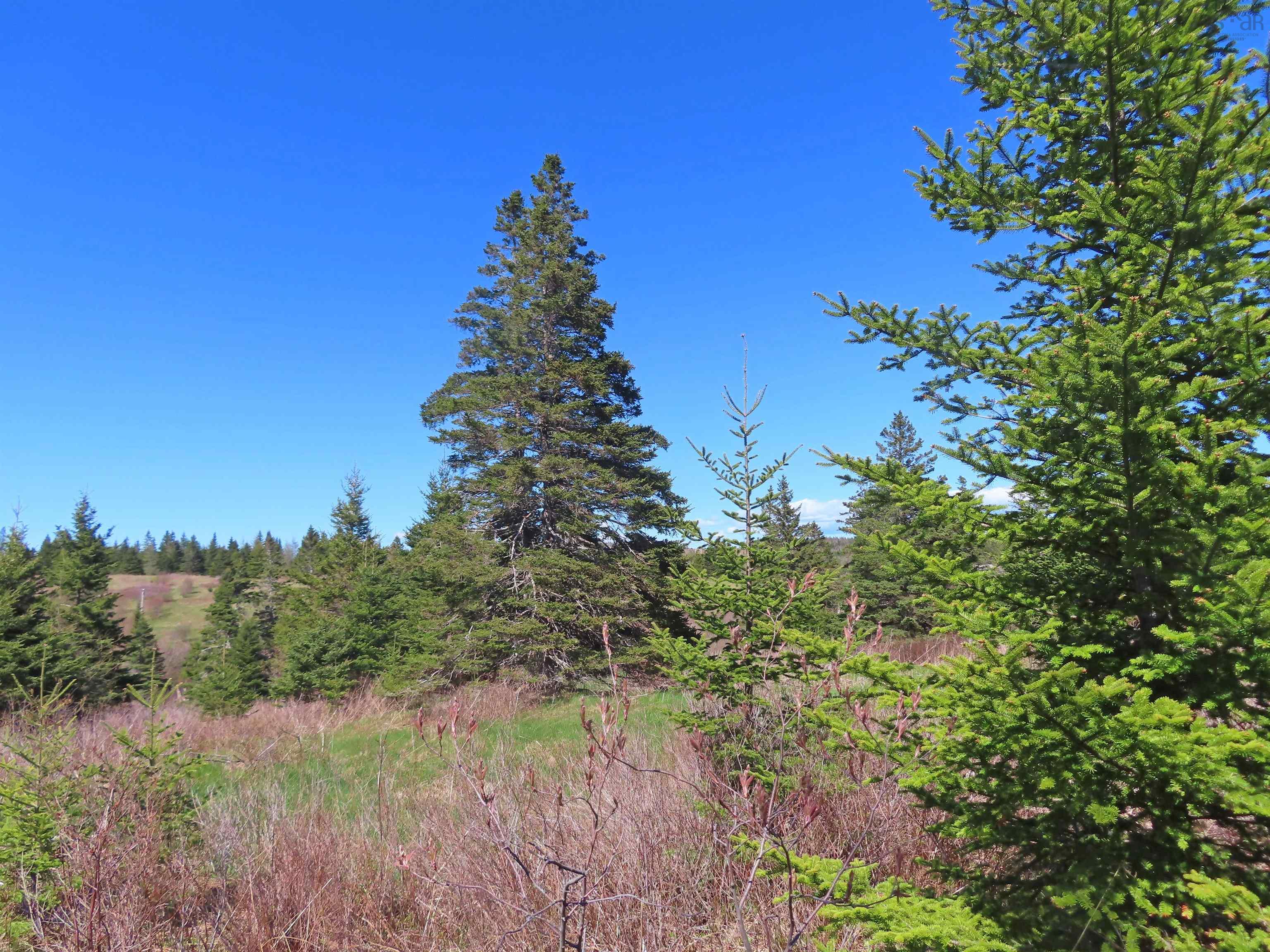 $25,000.00: Lot 2 Old Trunk 4 Highway, Soldiers Cove