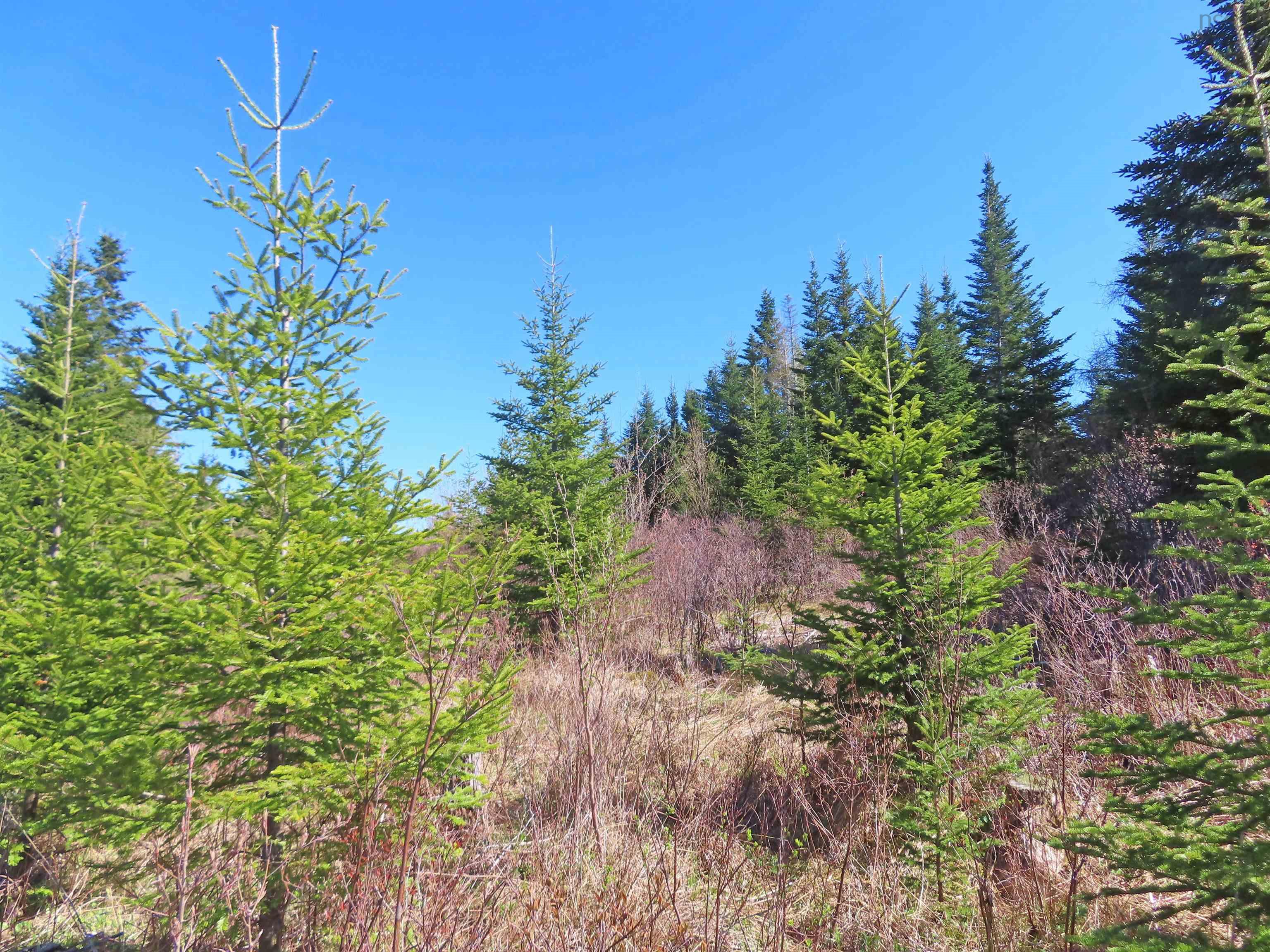 $25,000.00: Lot 2 Old Trunk 4 Highway, Soldiers Cove