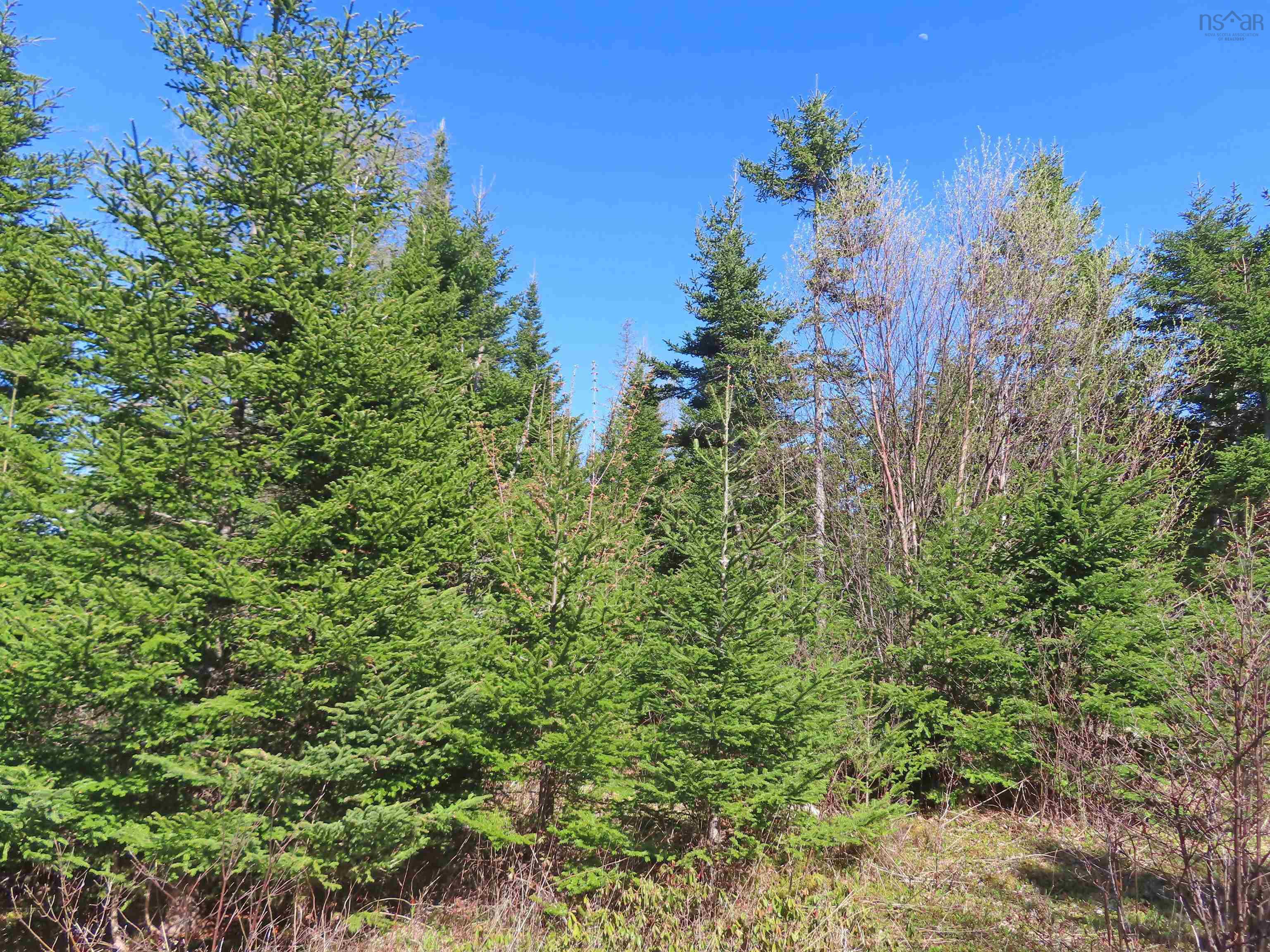 $25,000.00: Lot 2 Old Trunk 4 Highway, Soldiers Cove