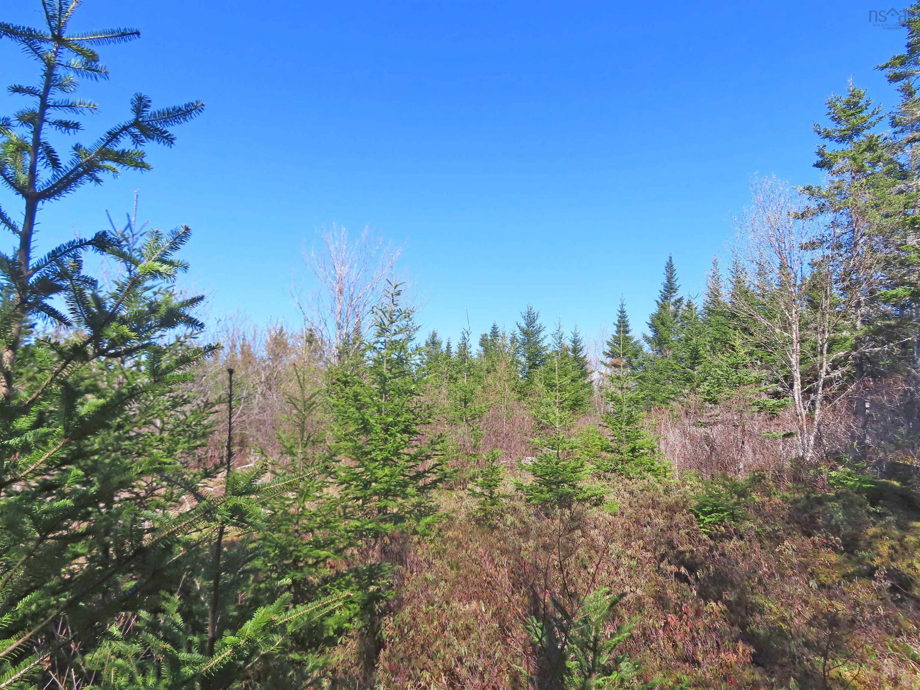 $25,000.00: Lot 2 Old Trunk 4 Highway, Soldiers Cove