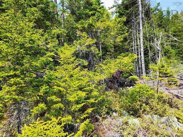 $69,900.00: Lot Back Road, Voglers Cove