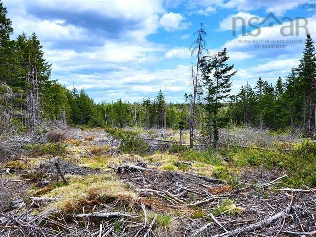 $69,900.00: Lot Back Road, Voglers Cove