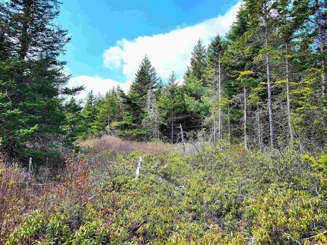 $69,900.00: Lot Back Road, Voglers Cove