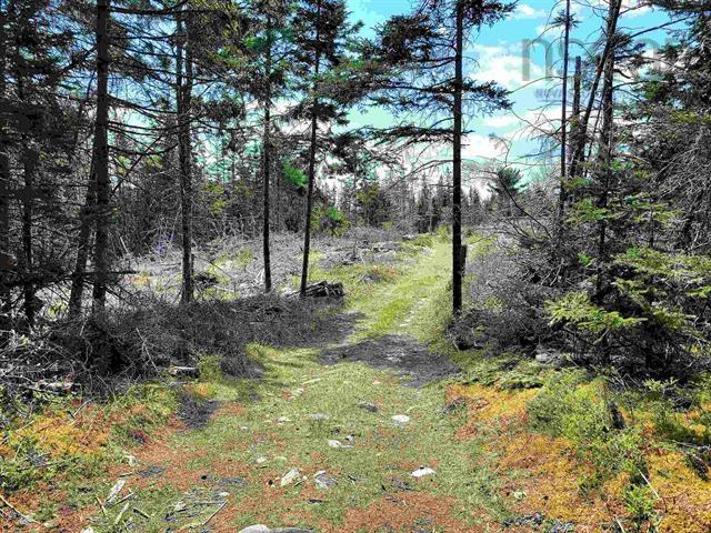 $69,900.00: Lot Back Road, Voglers Cove