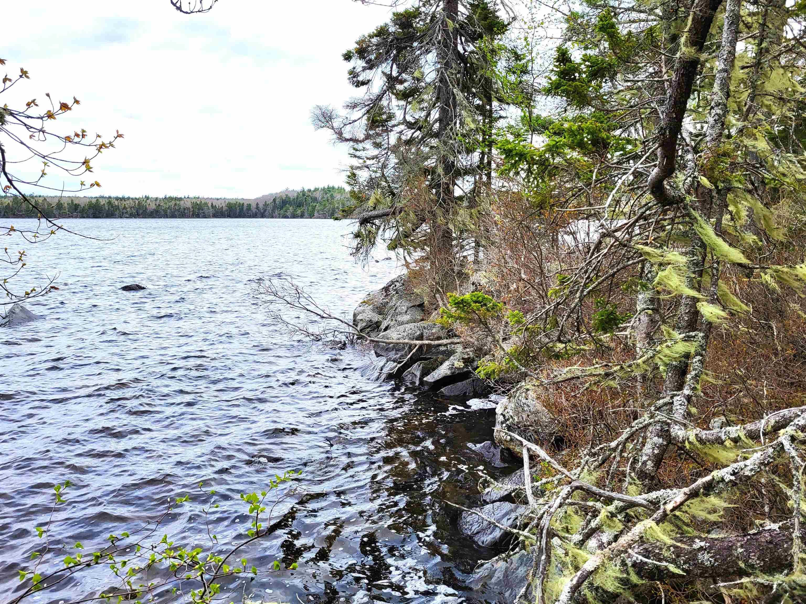 $144,900.00: Lot Hirtle Road, Voglers Cove