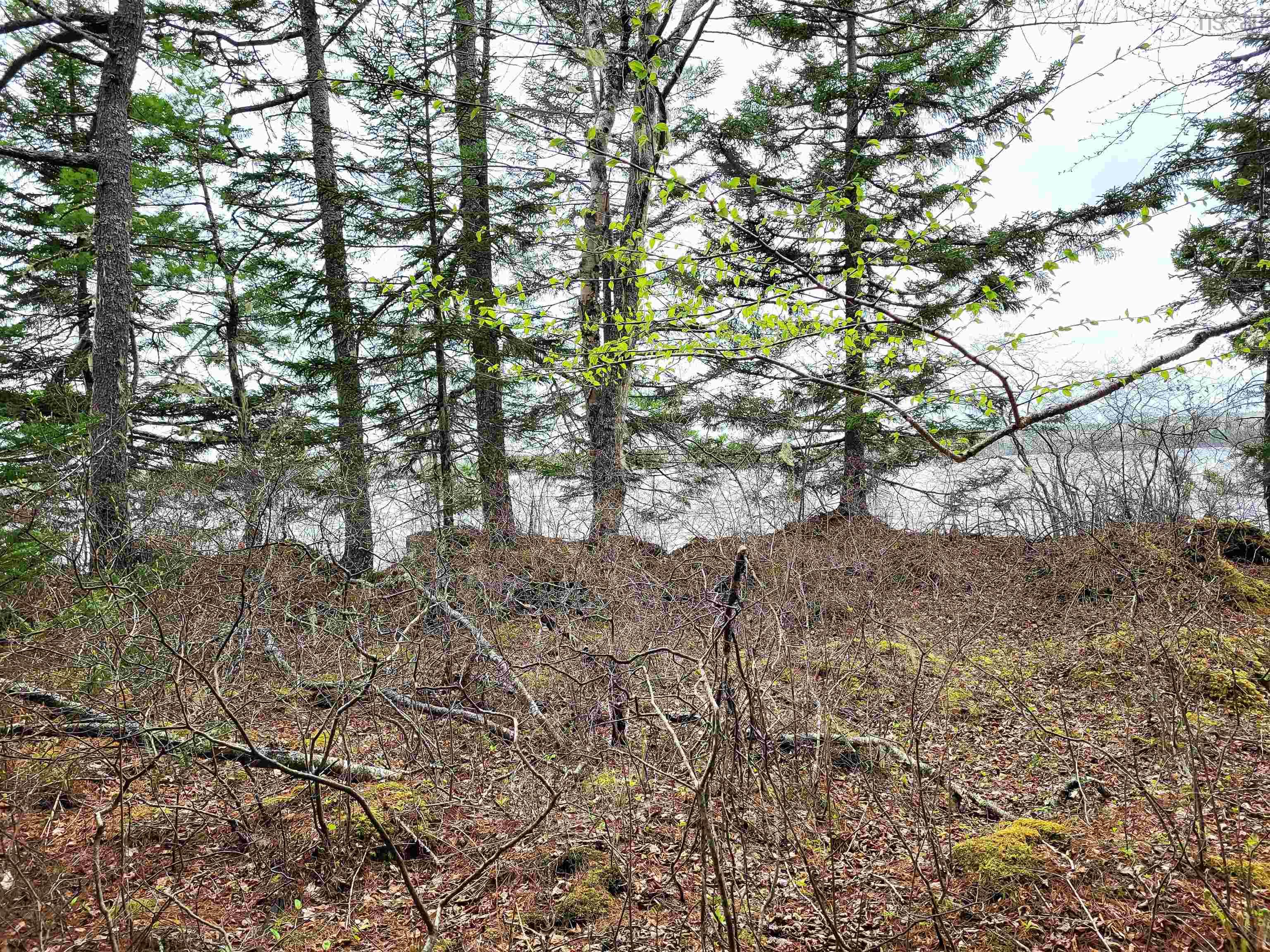 $144,900.00: Lot Hirtle Road, Voglers Cove