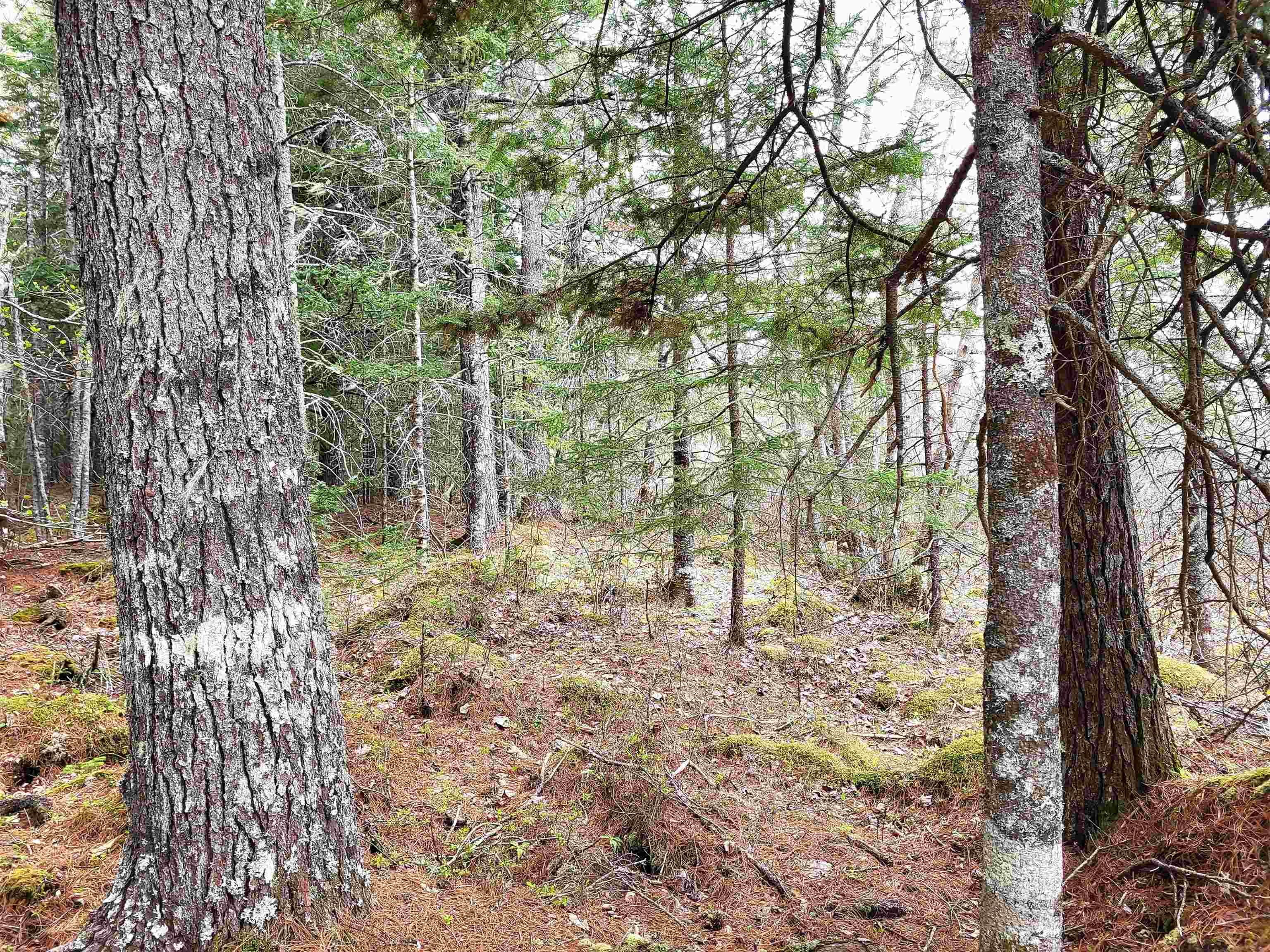 $144,900.00: Lot Hirtle Road, Voglers Cove