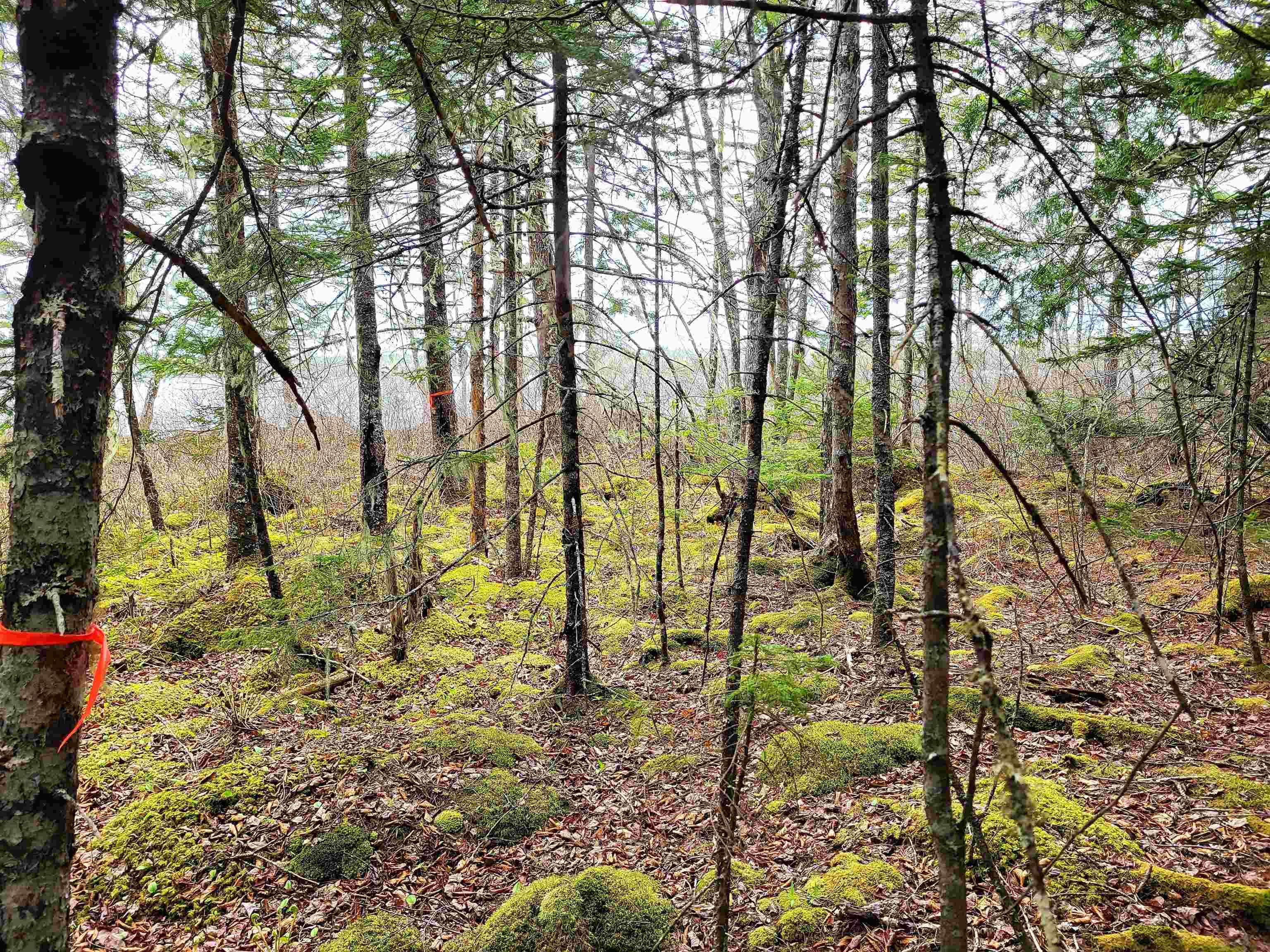 $144,900.00: Lot Hirtle Road, Voglers Cove