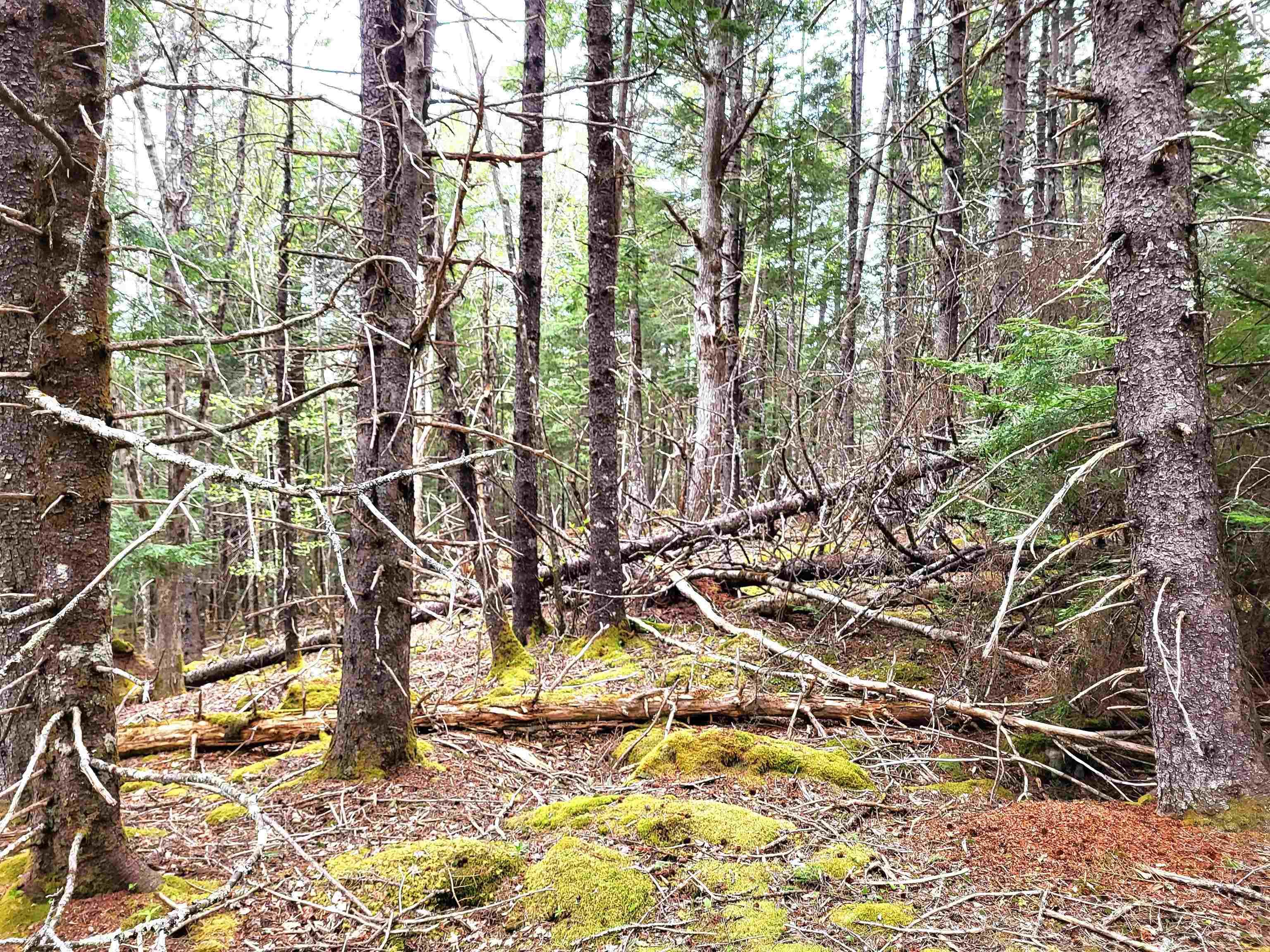 $144,900.00: Lot Hirtle Road, Voglers Cove
