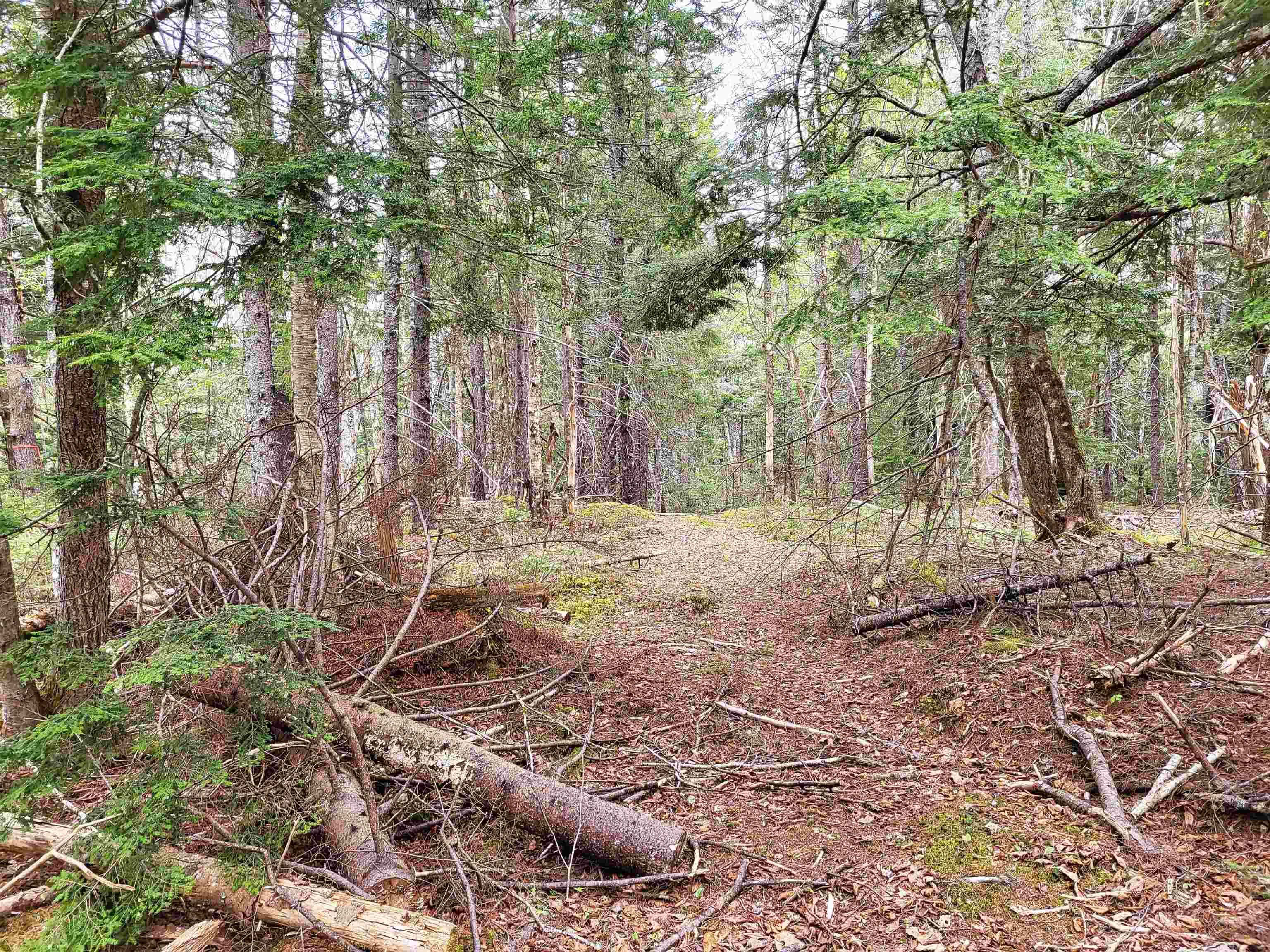 $144,900.00: Lot Hirtle Road, Voglers Cove