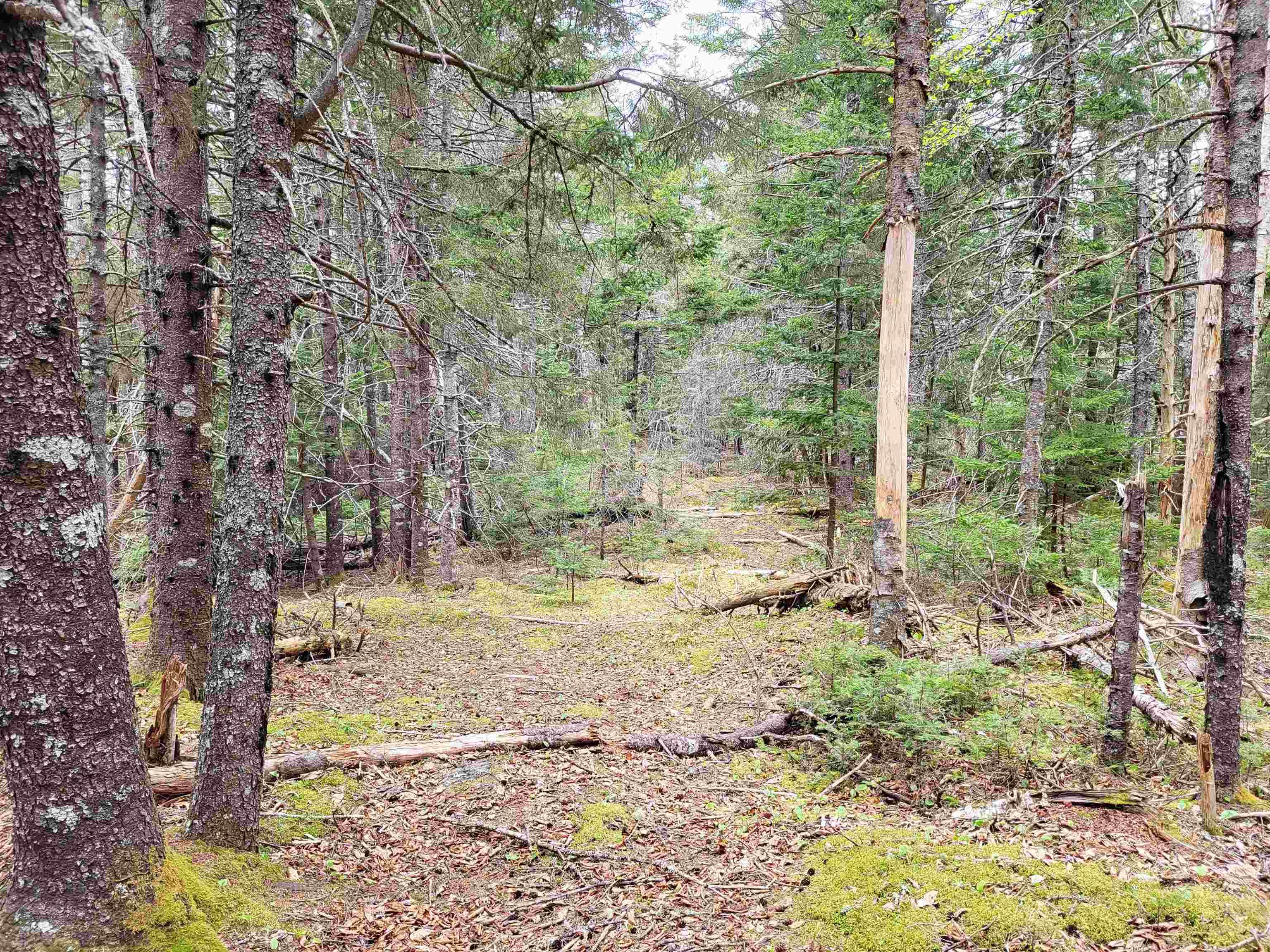 $144,900.00: Lot Hirtle Road, Voglers Cove