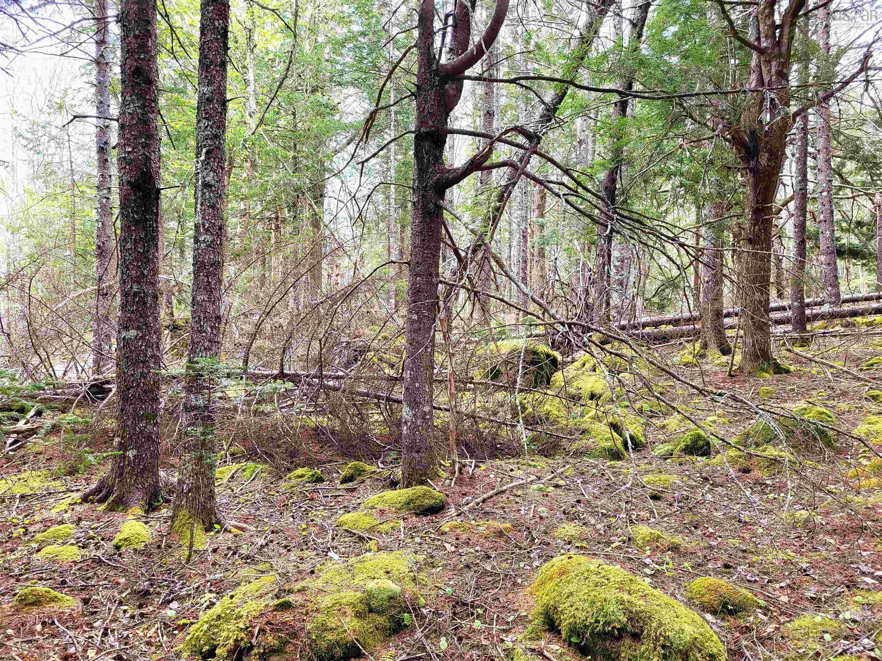 $144,900.00: Lot Hirtle Road, Voglers Cove