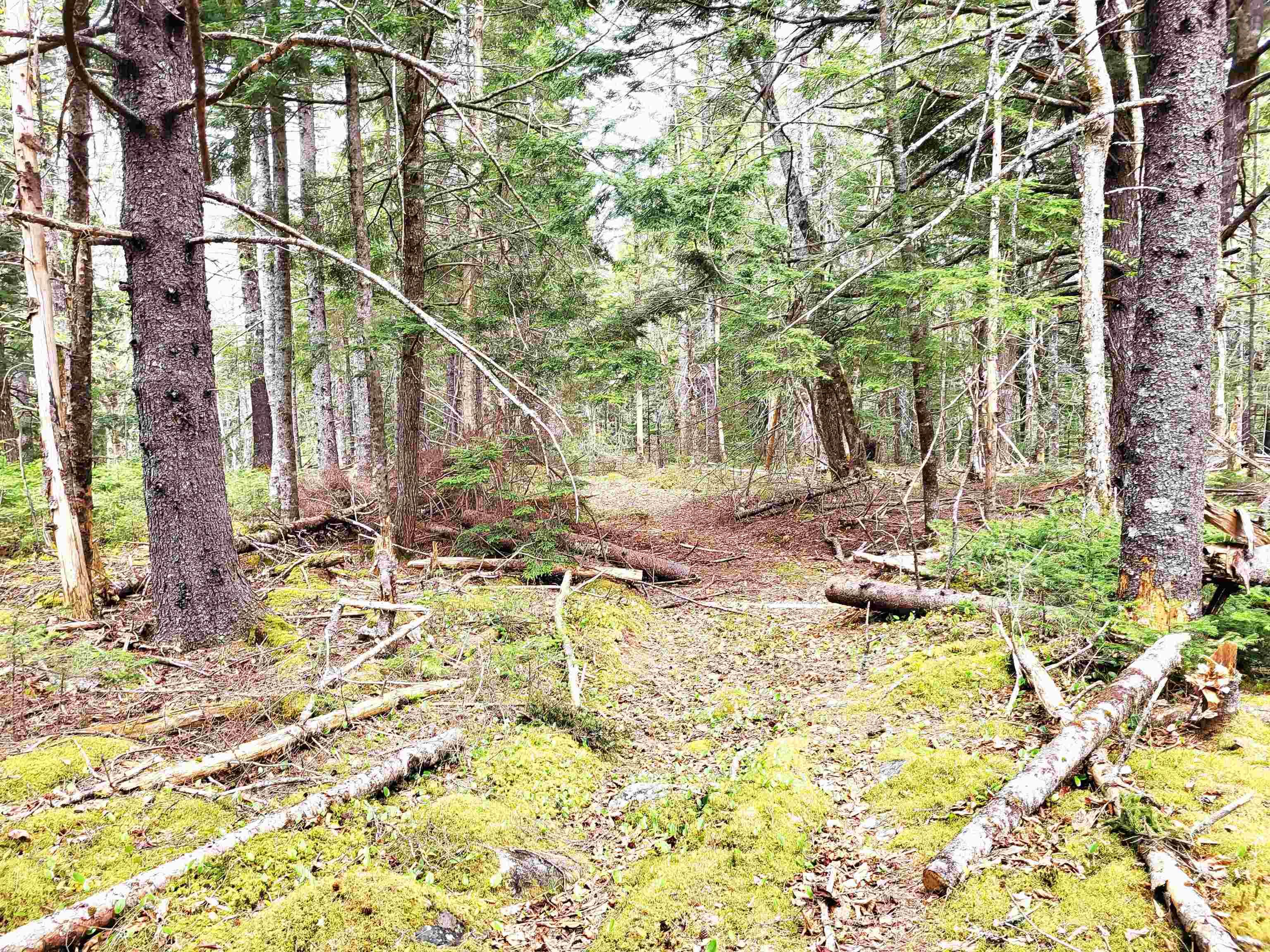 $144,900.00: Lot Hirtle Road, Voglers Cove