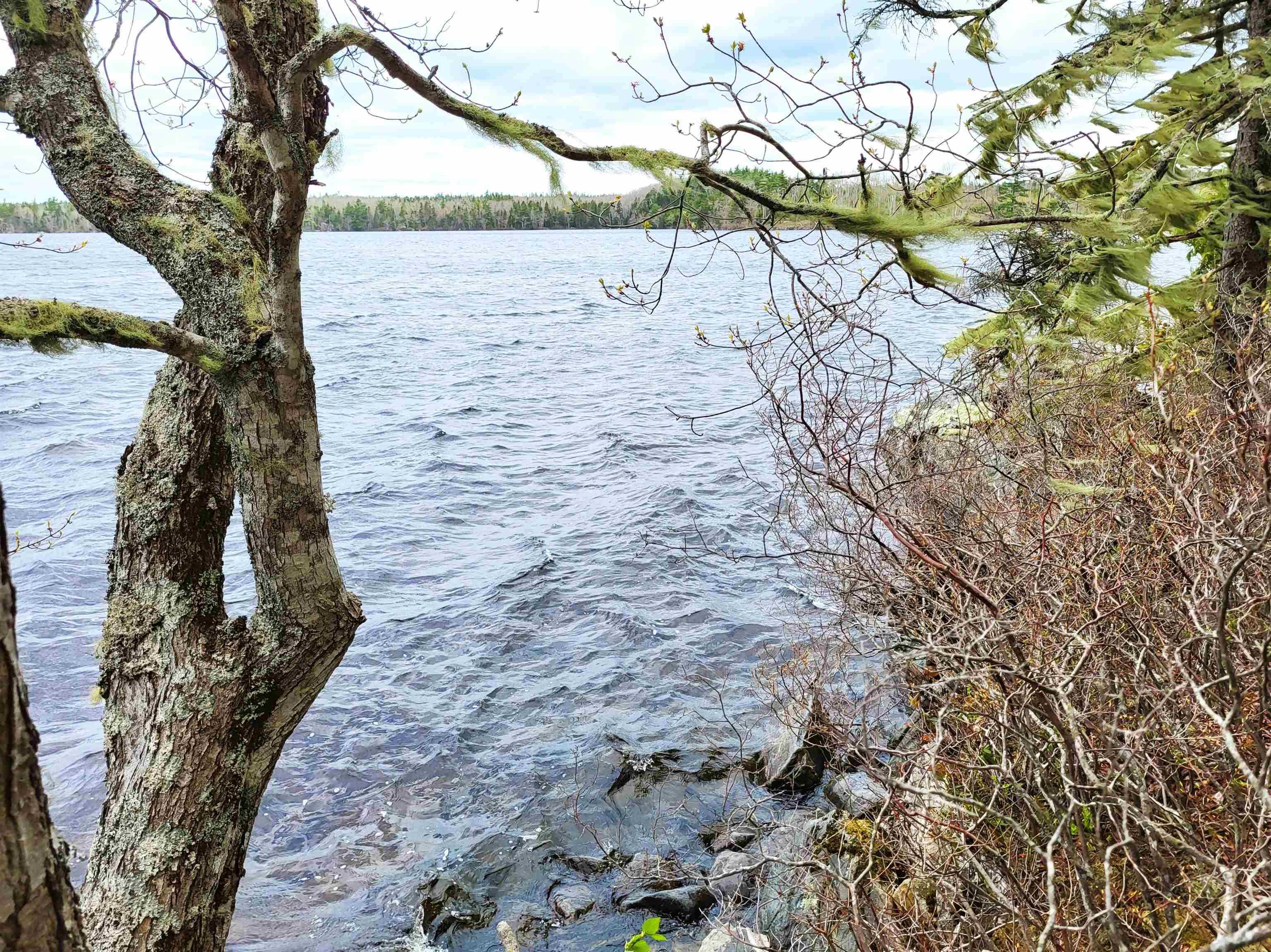 $144,900.00: Lot Hirtle Road, Voglers Cove