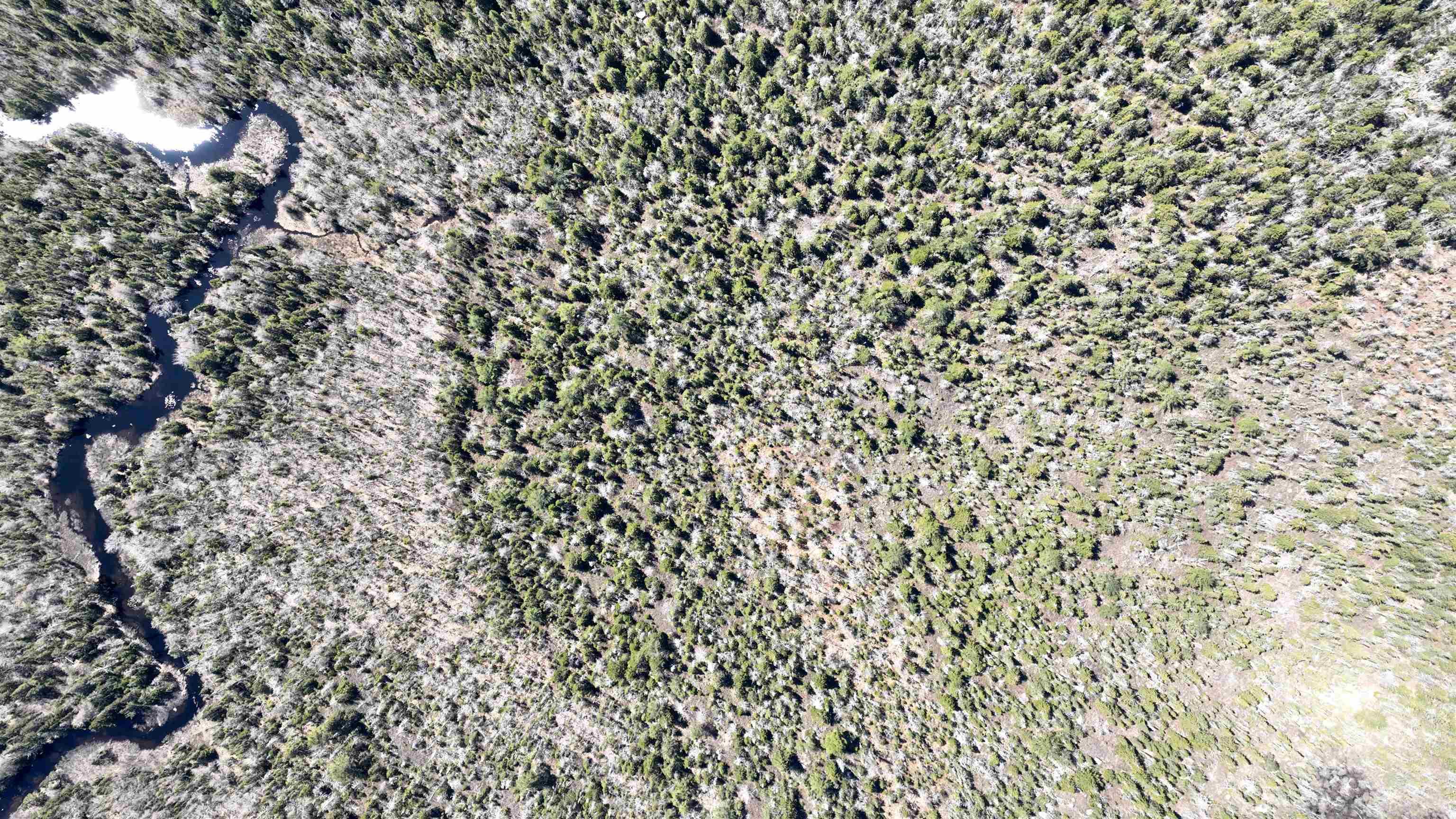 $59,900.00: Lot Hirtle Road, Voglers Cove