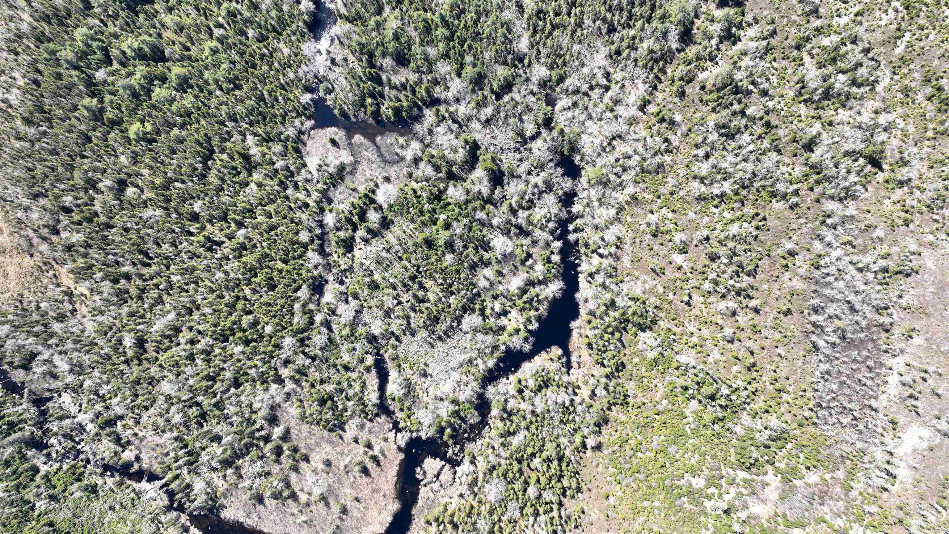 $79,900.00: Lot Hirtle Road, Voglers Cove