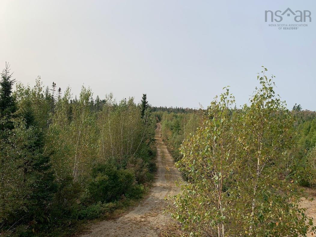 $55,000.00: Lot 1 Pleasant River Preserve, Pleasant River